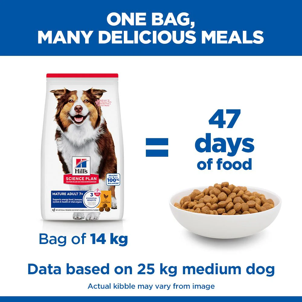 Hill's Science Plan Mature Adult Medium Breed Dry Dog Food with Chicken - Image 5