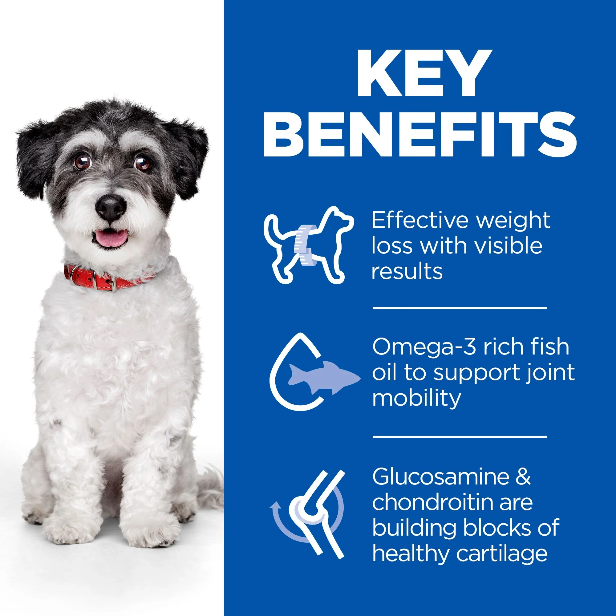 Hill's™ Science Plan Perfect Weight & Active Mobility Small & Mini Dry Dog Food Chicken - Image 3