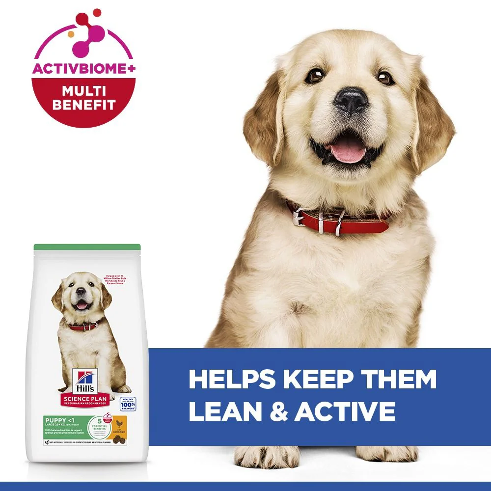 Hill's Science Plan Puppy Large Breed Dry Dog Food with Chicken - Image 4
