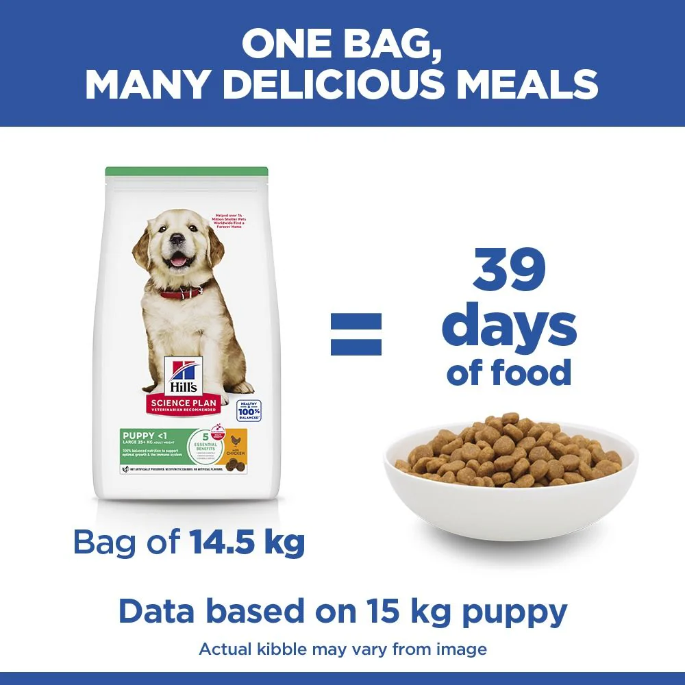 Hill's Science Plan Puppy Large Breed Dry Dog Food with Chicken - Image 5