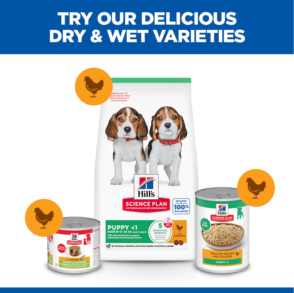 Hill'sâ„¢ Science Plan Puppy Medium Dry Food Chicken Flavour - Image 5