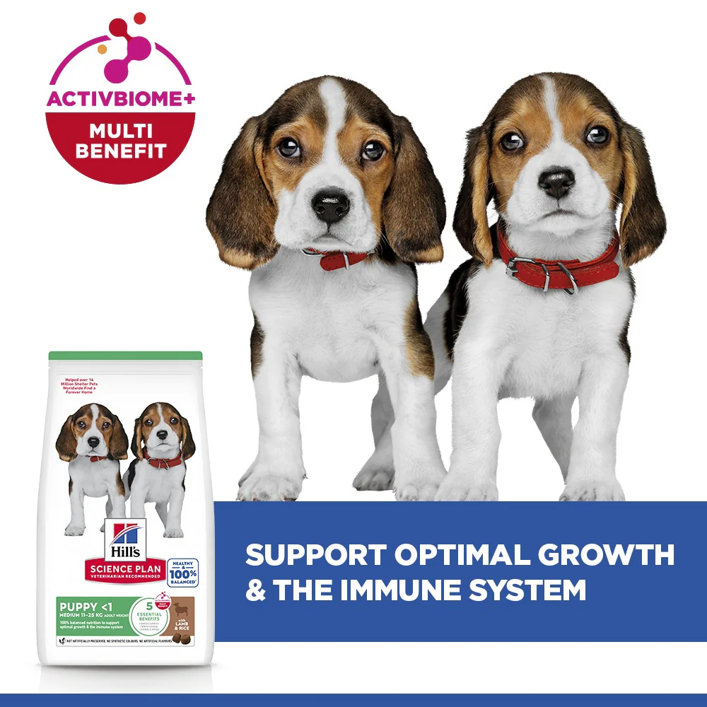 Hill's™ Science Plan Puppy Medium Dry Food Lamb & Rice Flavour 14kg - Image 5