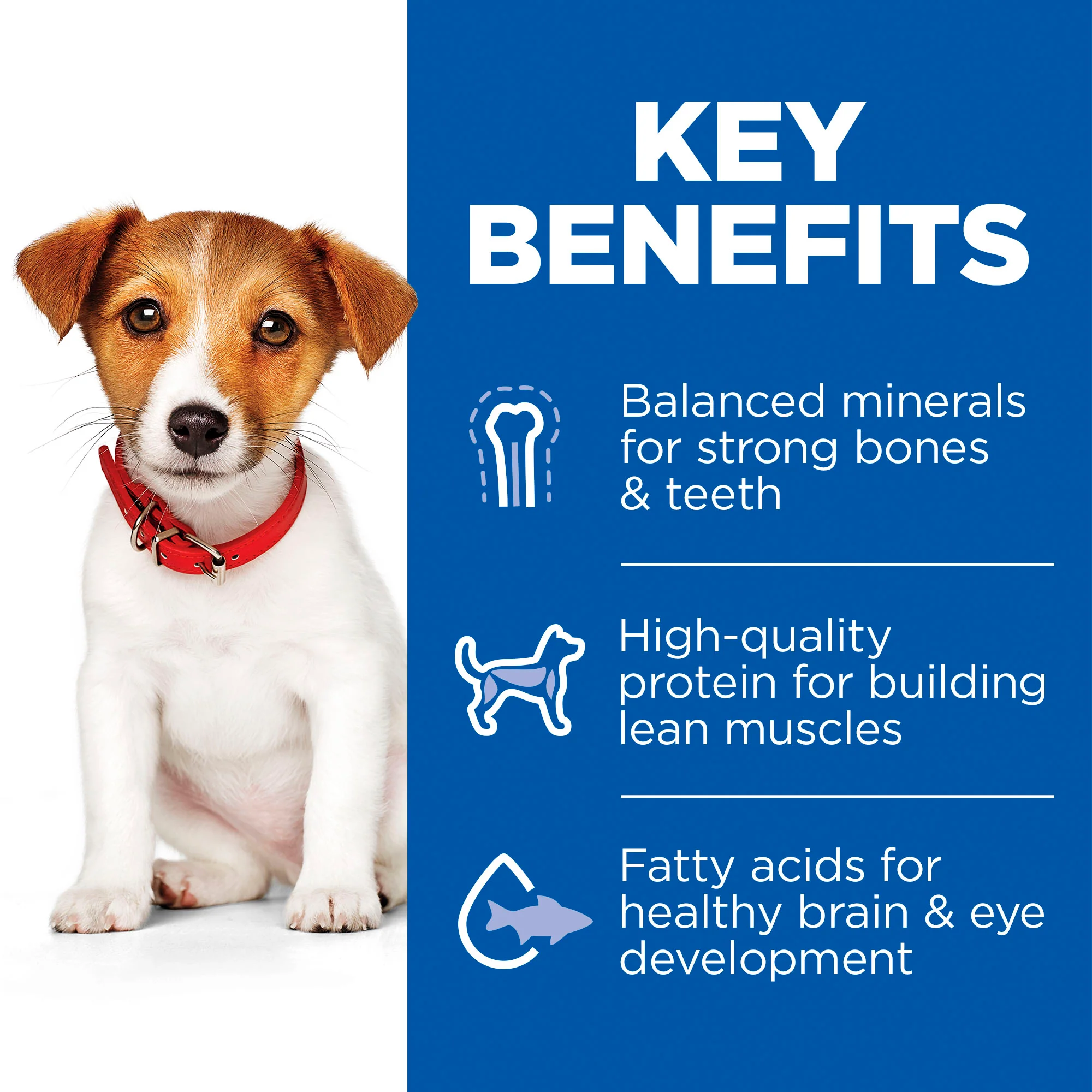 Hill's™ Science Plan Puppy Small & Mini Dry Food Chicken Flavour - Image 3