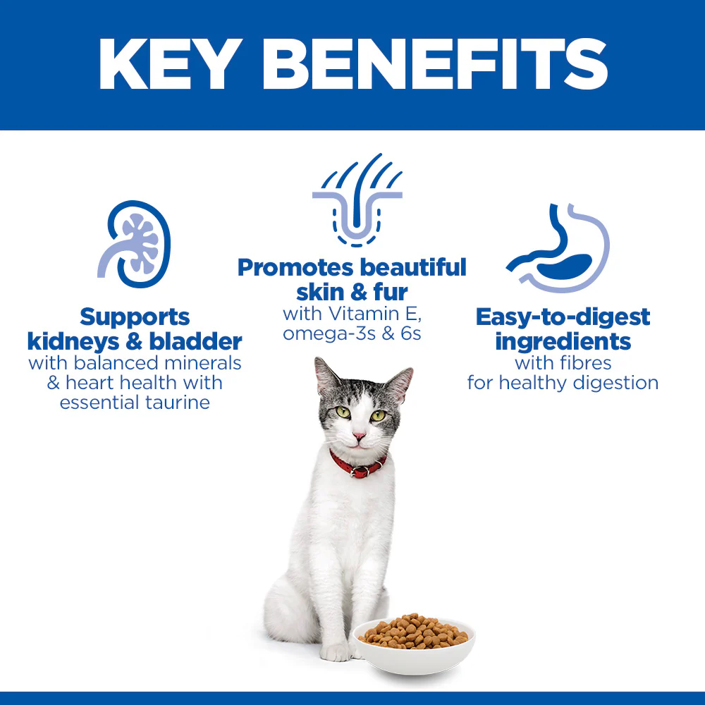 Hill's™ Science Plan Senior Dry Cat Chicken Flavour 3kg - Image 3