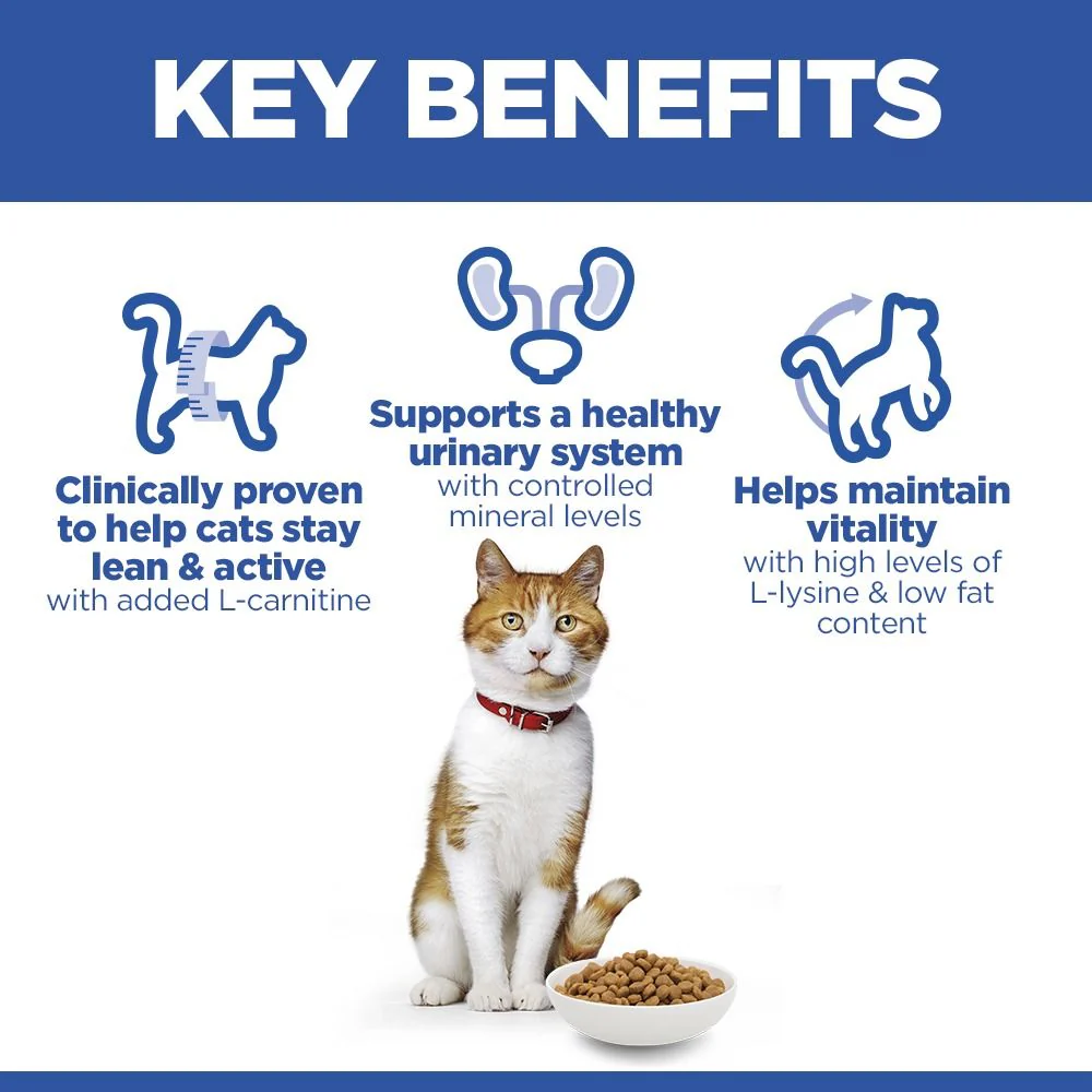 Hill's Science Plan Sterilised Adult Cat Food with Salmon - Image 3