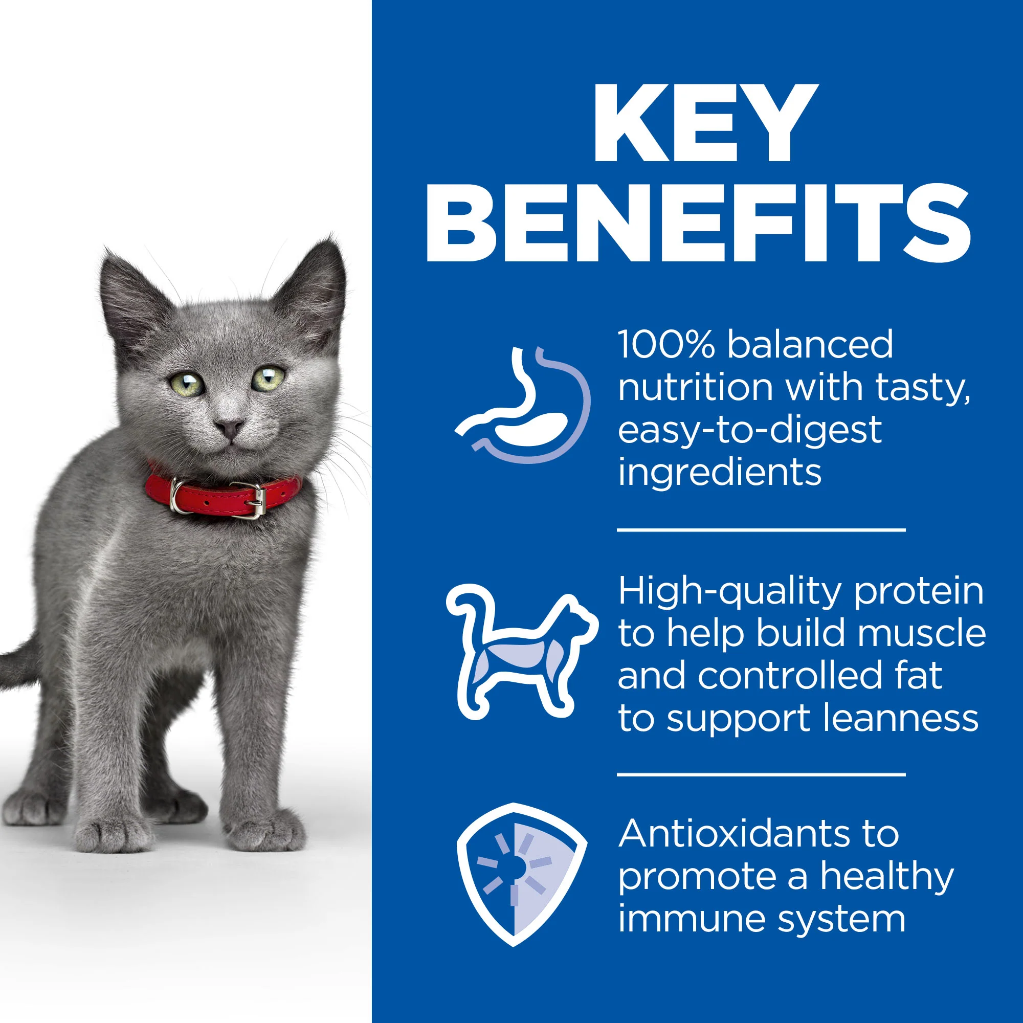 Hill's™ Science Plan Sterilised Kitten Dry Food Chicken - Image 2