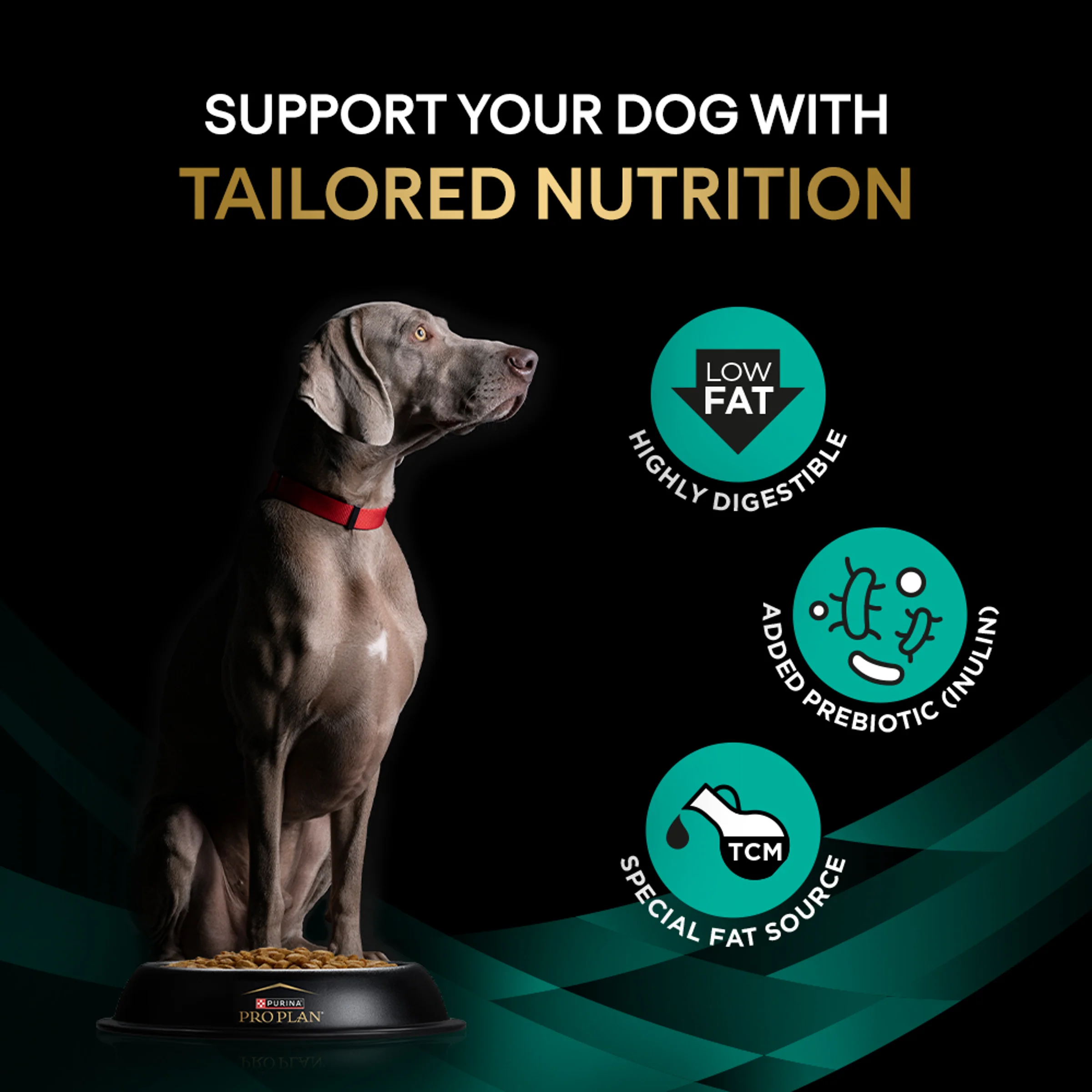 PRO PLAN VETERINARY DIETS EN Low Fat Dry Dog Food - Image 4