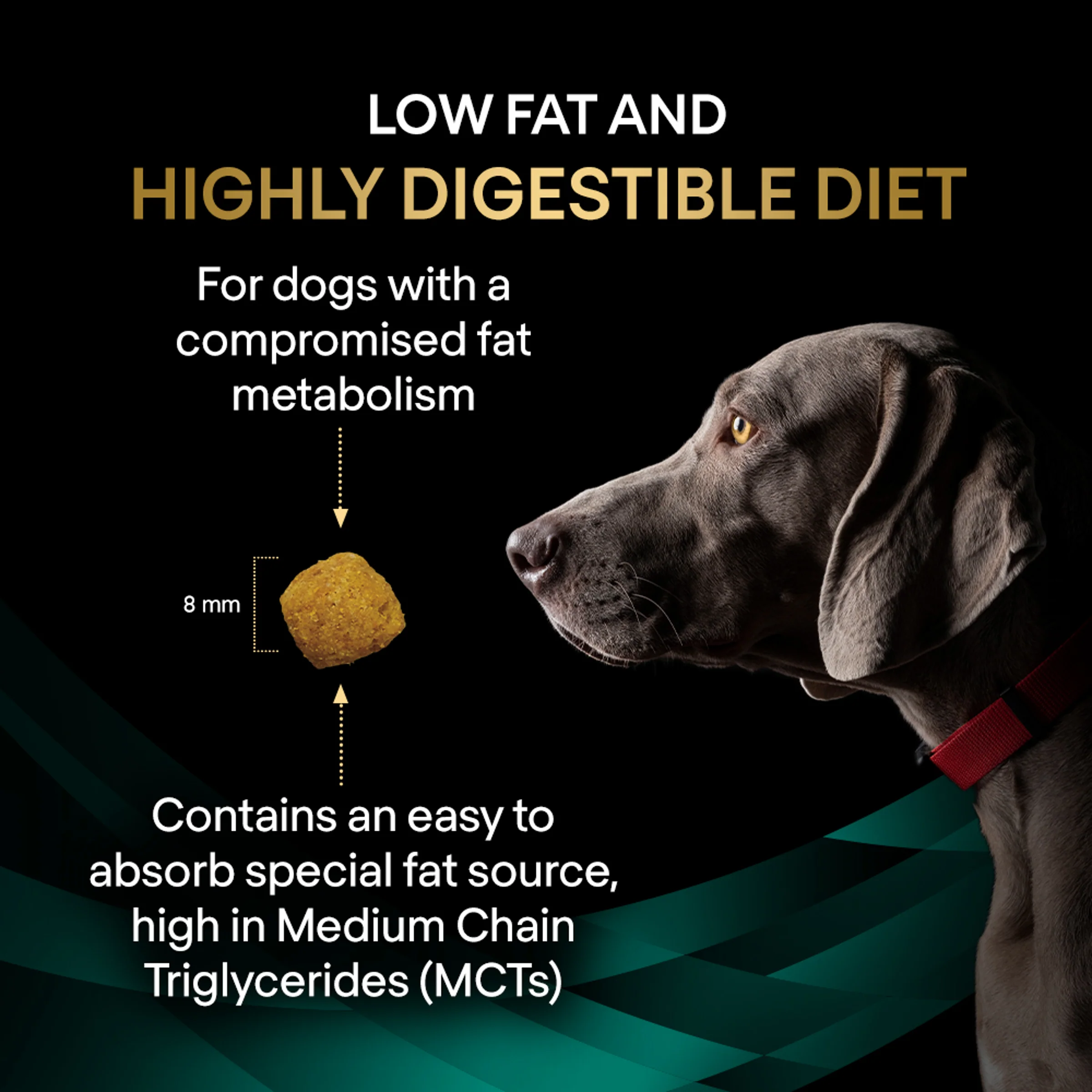 PRO PLAN VETERINARY DIETS EN Low Fat Dry Dog Food 3.5kg - Image 5
