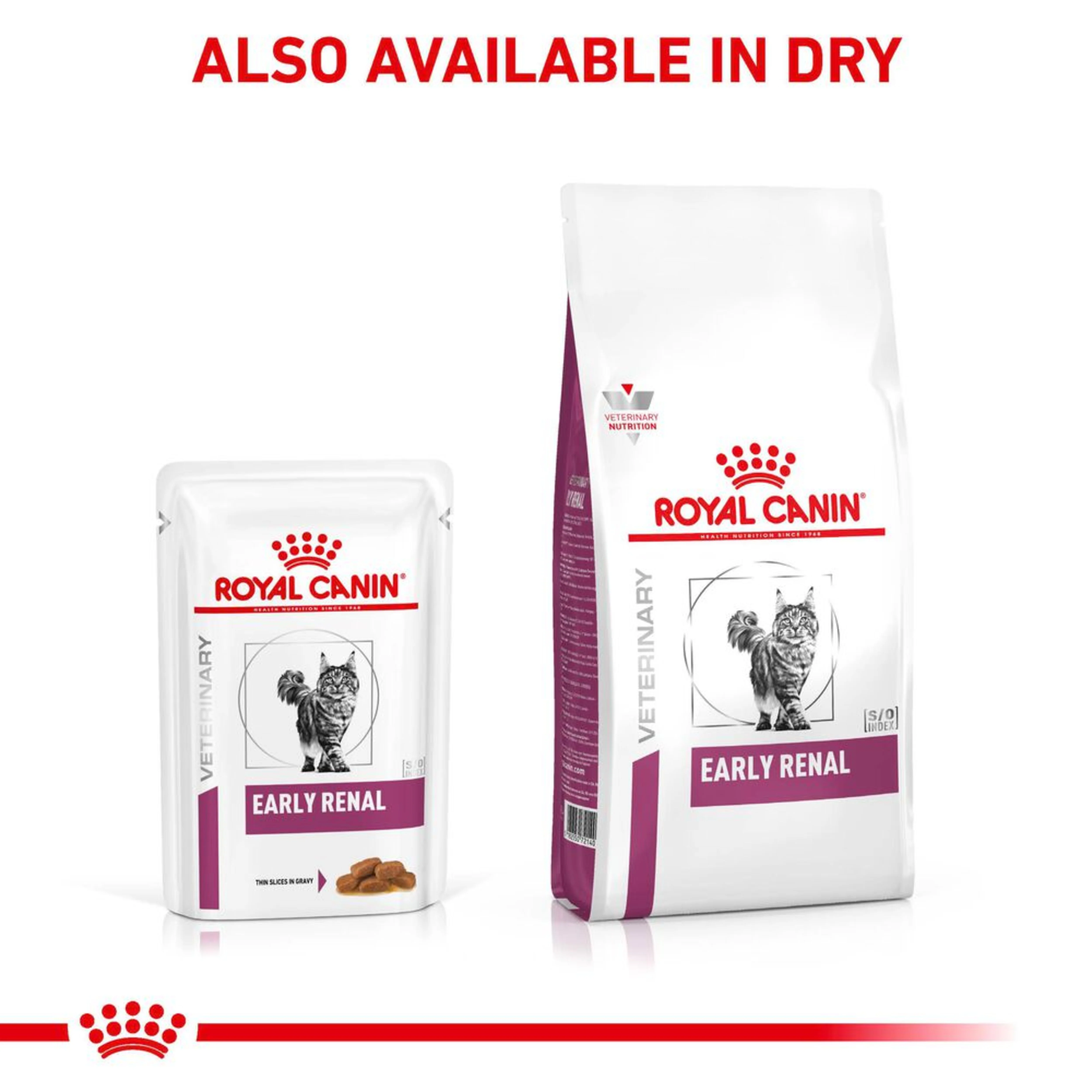 ROYAL CANIN® Early Renal Adult Wet Cat Food - Image 4