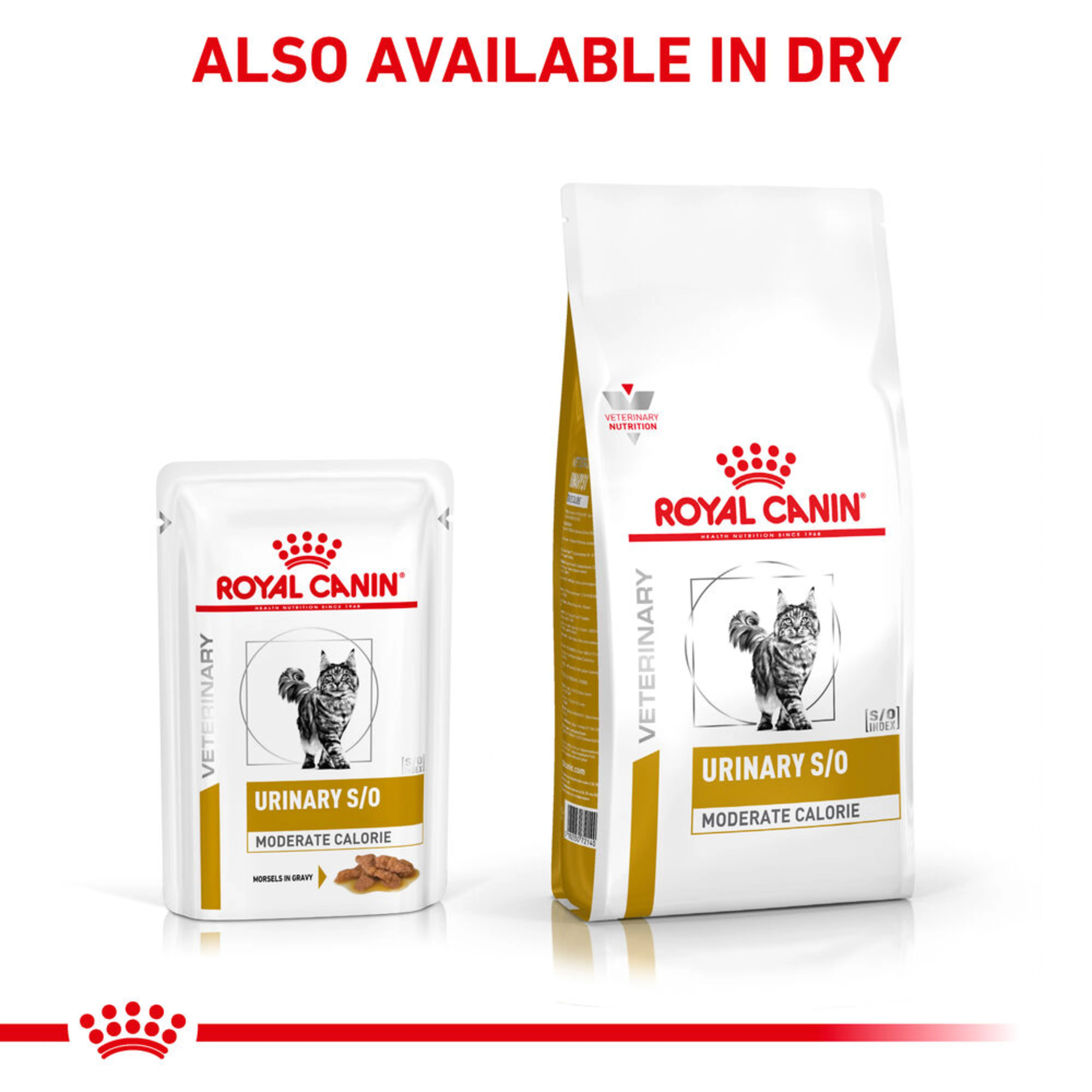 ROYAL CANIN® Feline Urinary S/O Moderate Calorie Morsels in Gravy Adult Wet Cat Food - Image 4