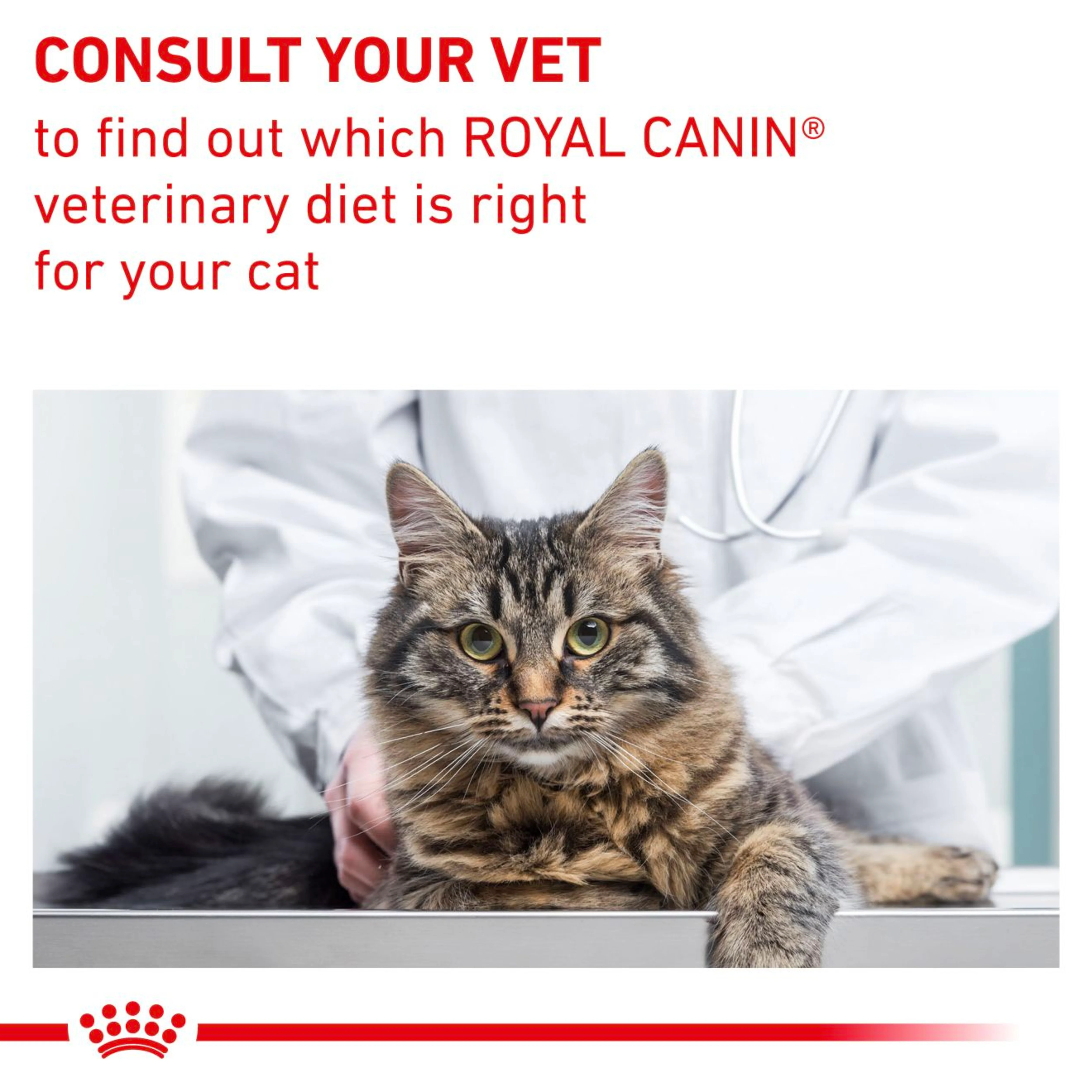 ROYAL CANIN® Mature Consult Cat Food in Gravy - Image 4