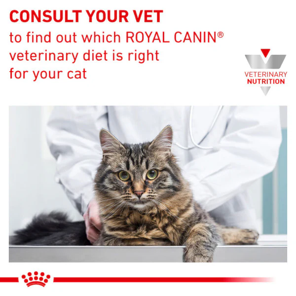 Royal Canin Urinary S/O Loaf Adult Wet Cat Food - Image 4