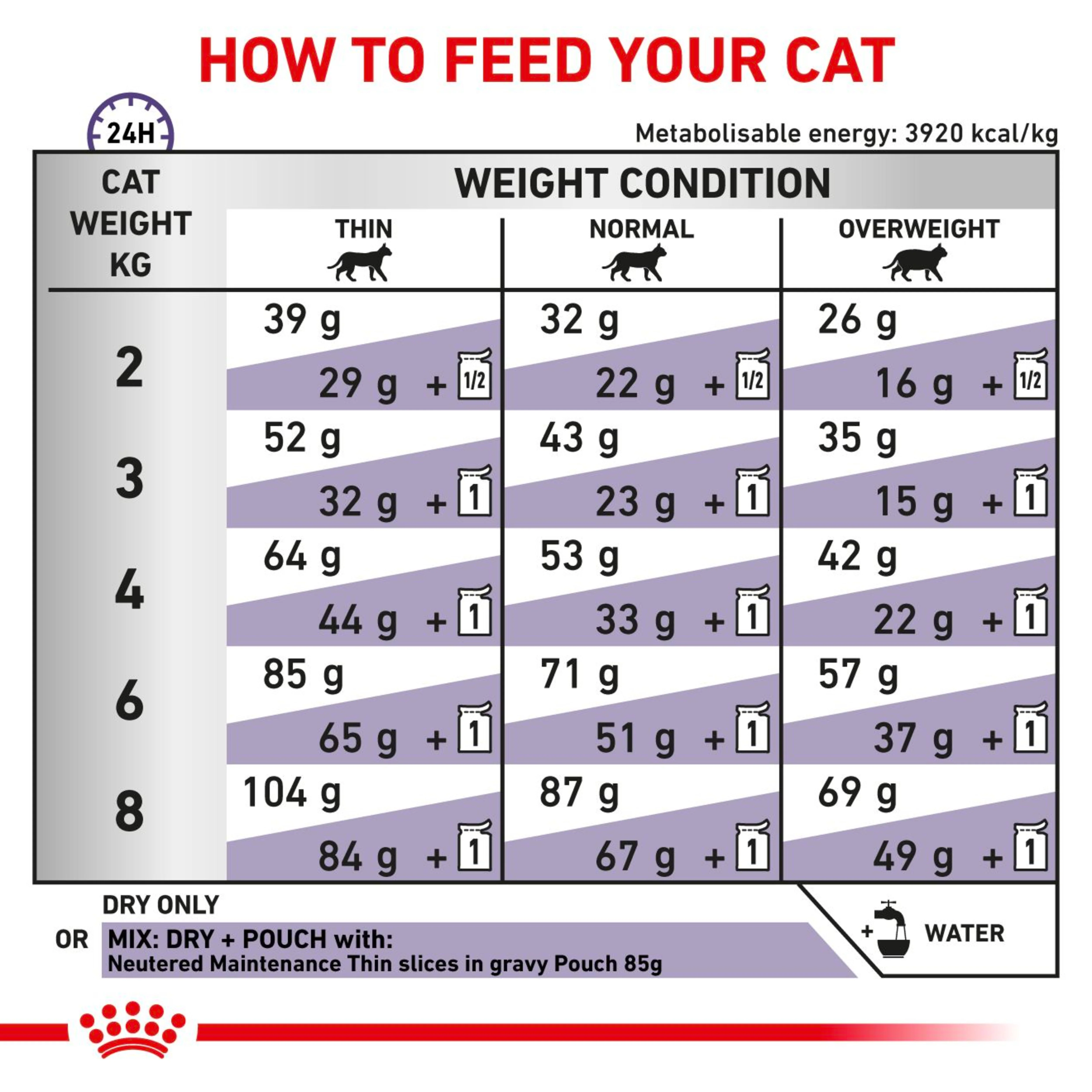 ROYAL CANIN Adult Dry Cat Food - Image 2