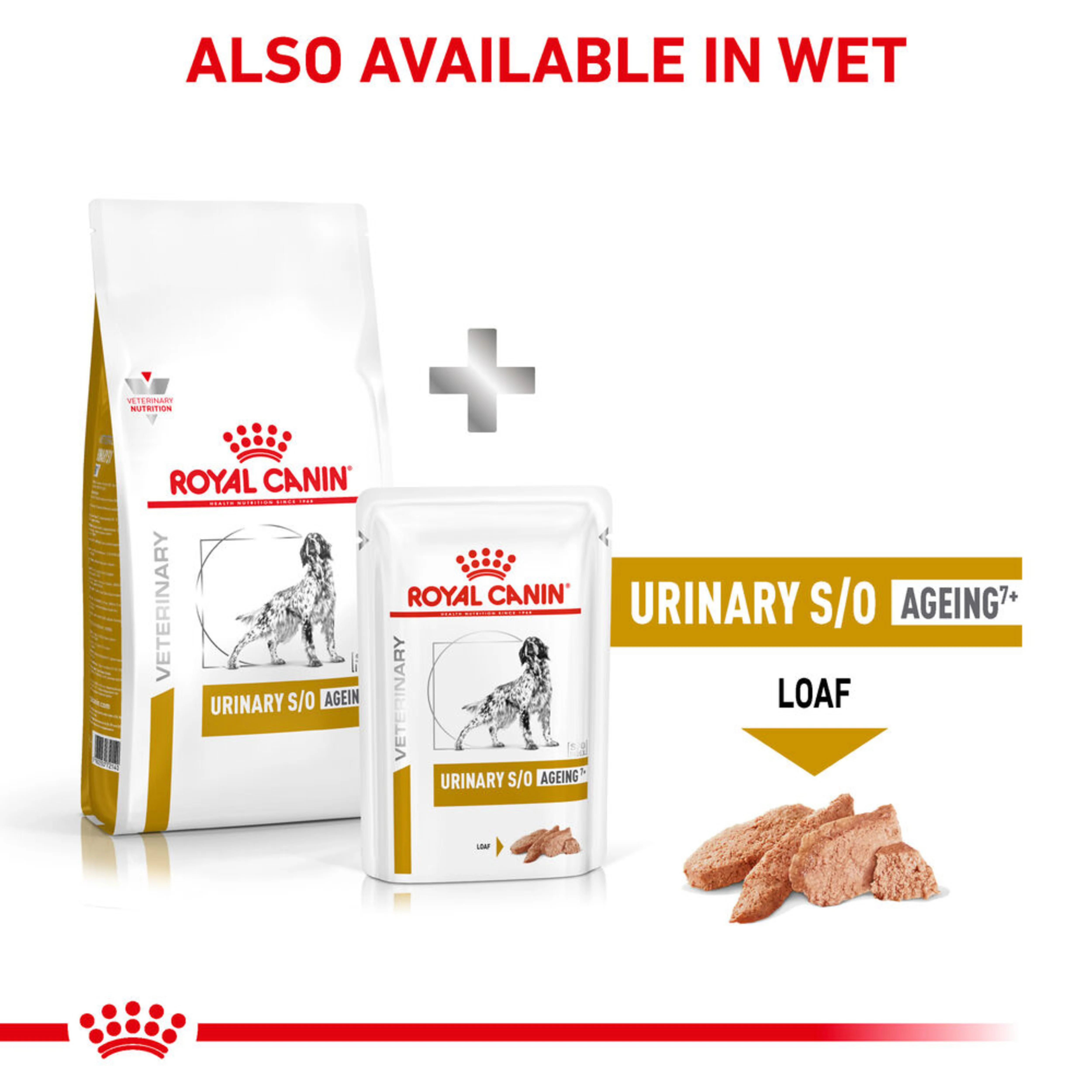 ROYAL CANIN Canine Urinary S/O Ageing 7+ Dry Dog Food 3.5kg - Image 2