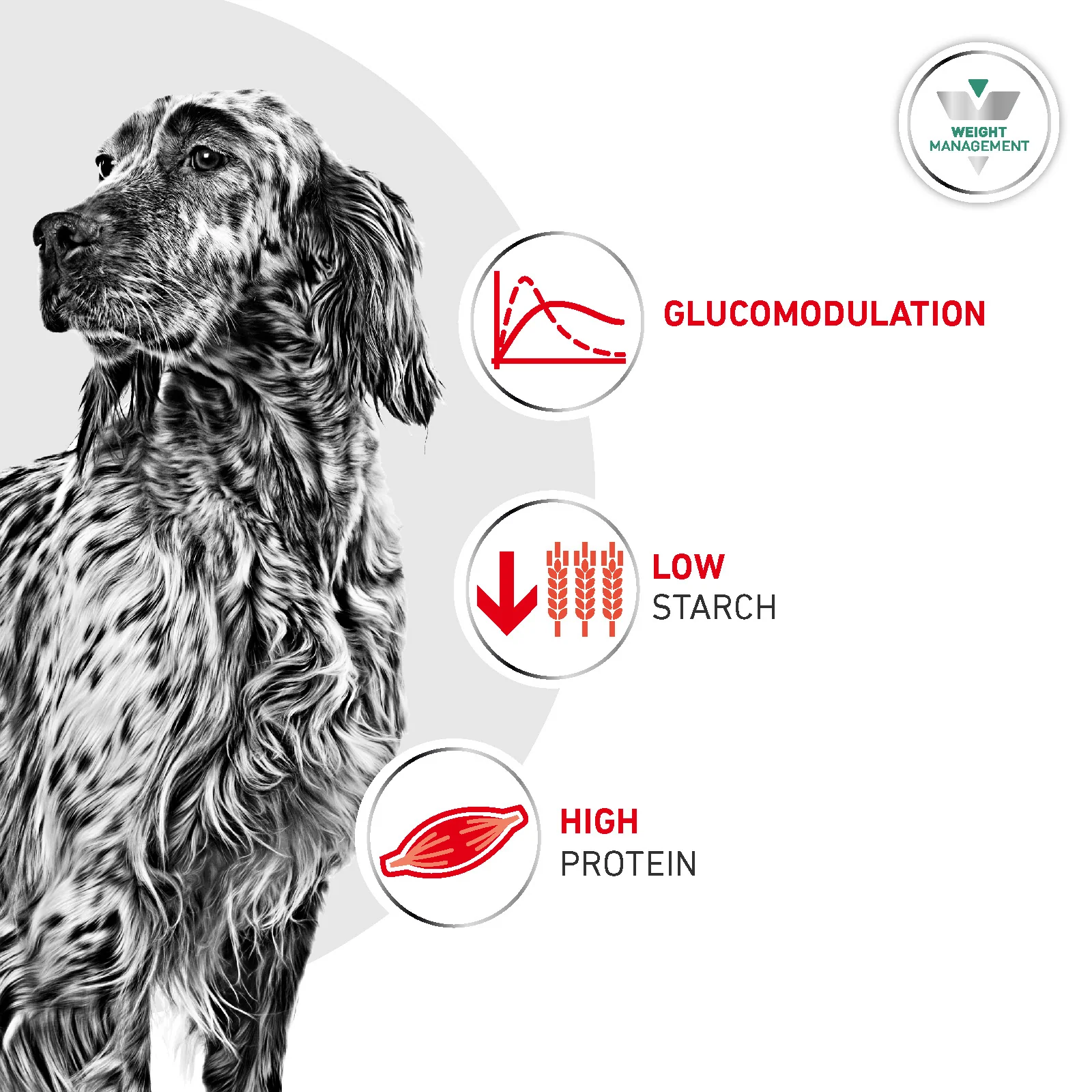 Royal Canin Glycobalance Adult Dry Dog Food 7kg - Image 3
