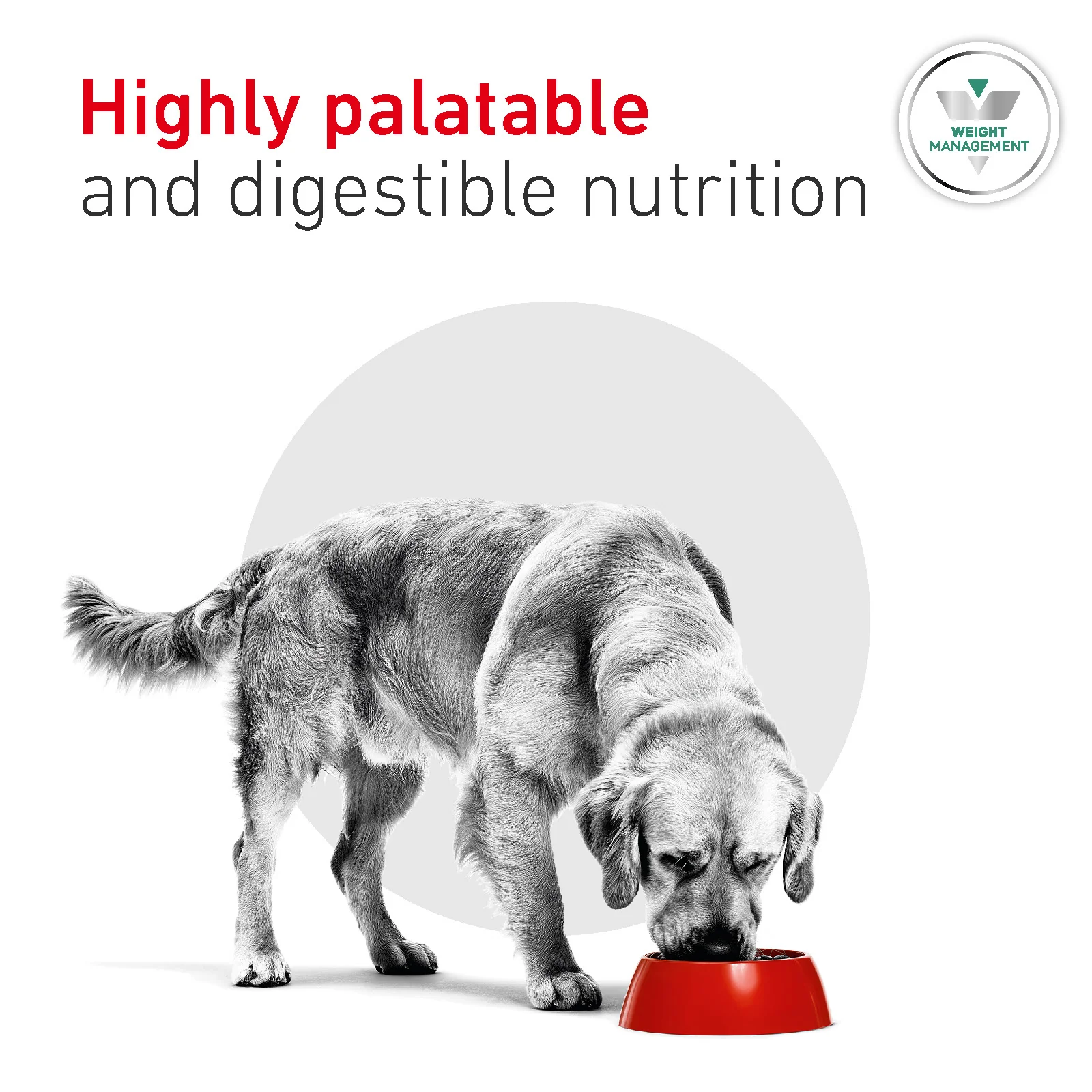 Royal Canin Glycobalance Adult Dry Dog Food 7kg - Image 4