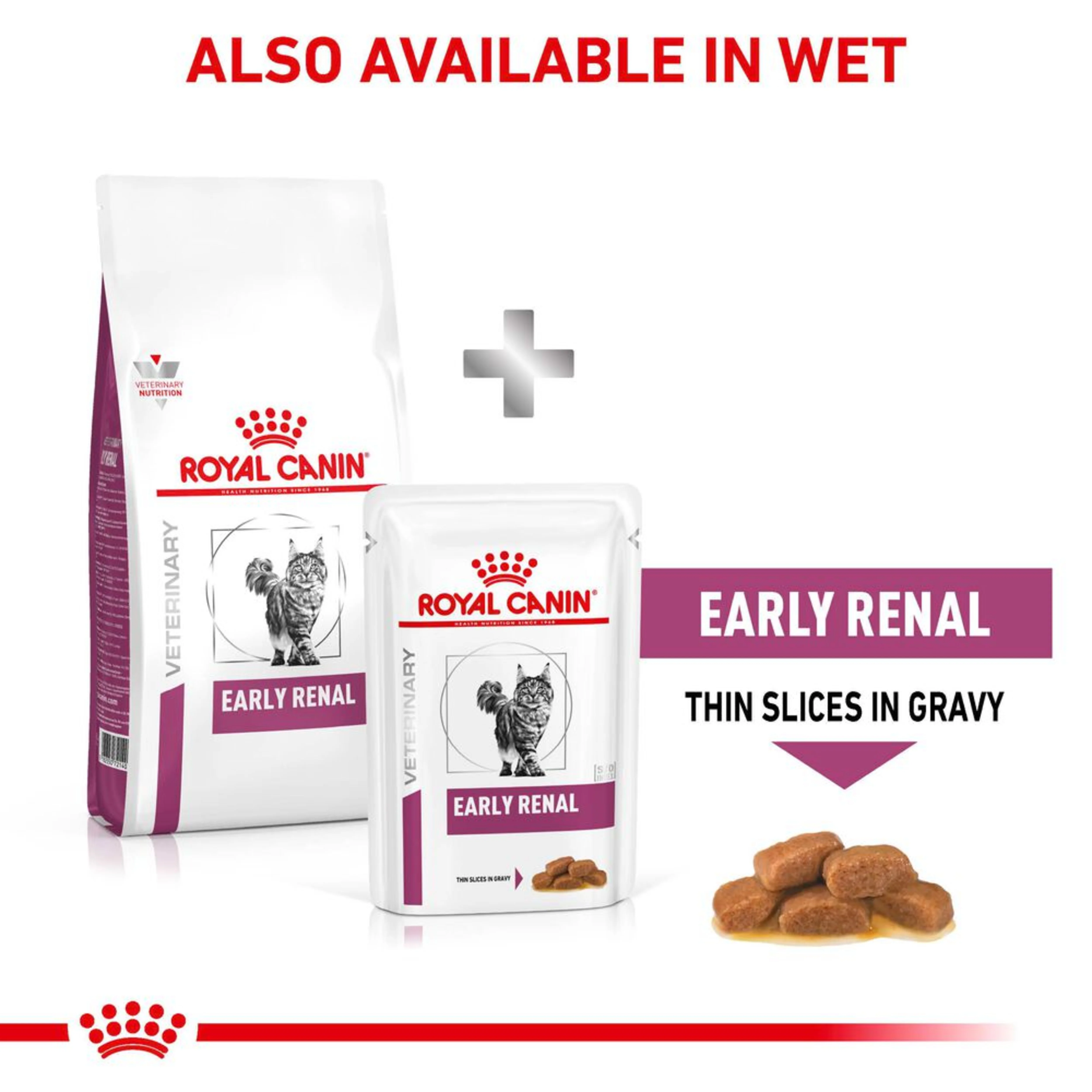 ROYAL CANIN Early Renal Adult Dry Cat Food - Image 2