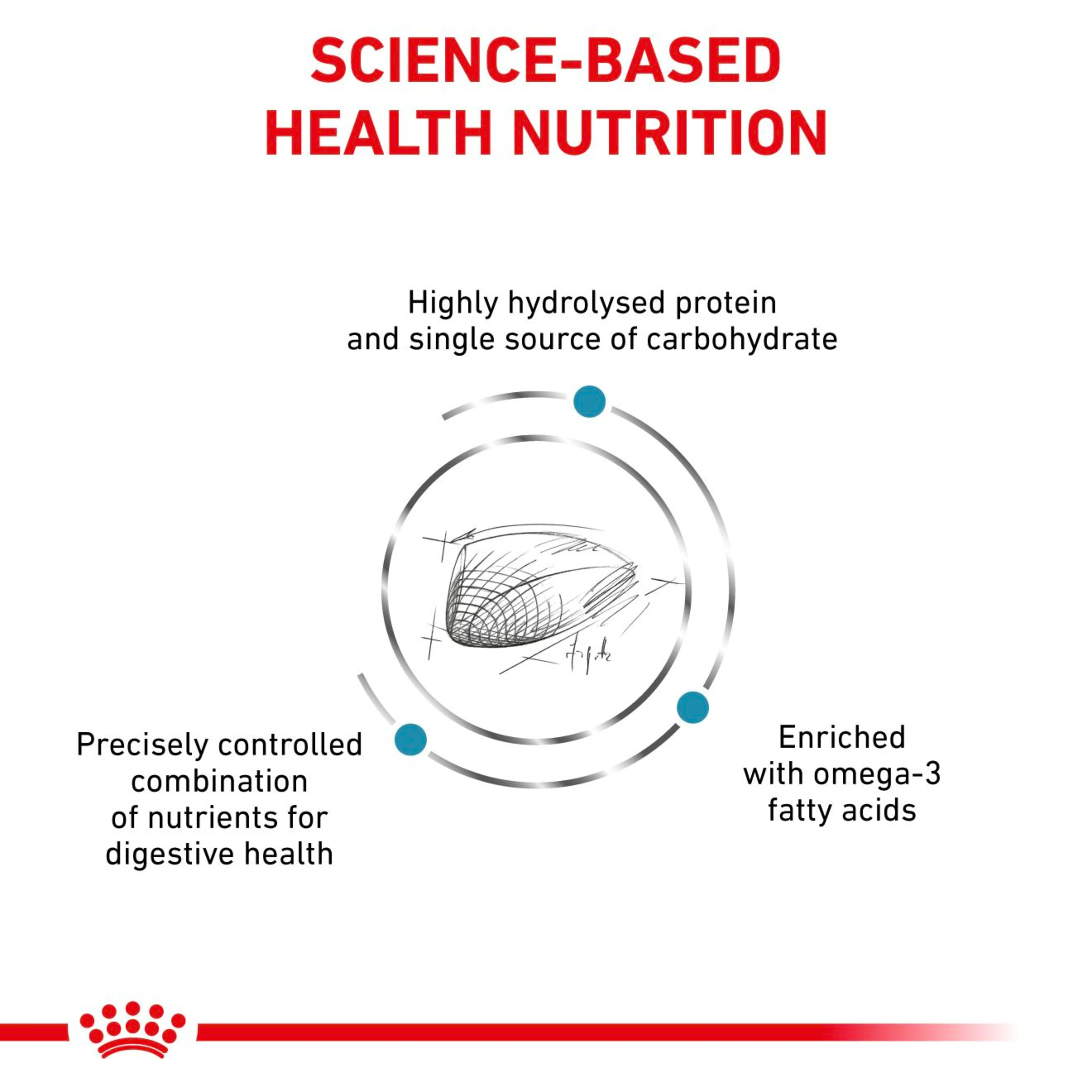 ROYAL CANIN Feline Hypoallergenic Adult Dry Cat Food 4.5kg - Image 2