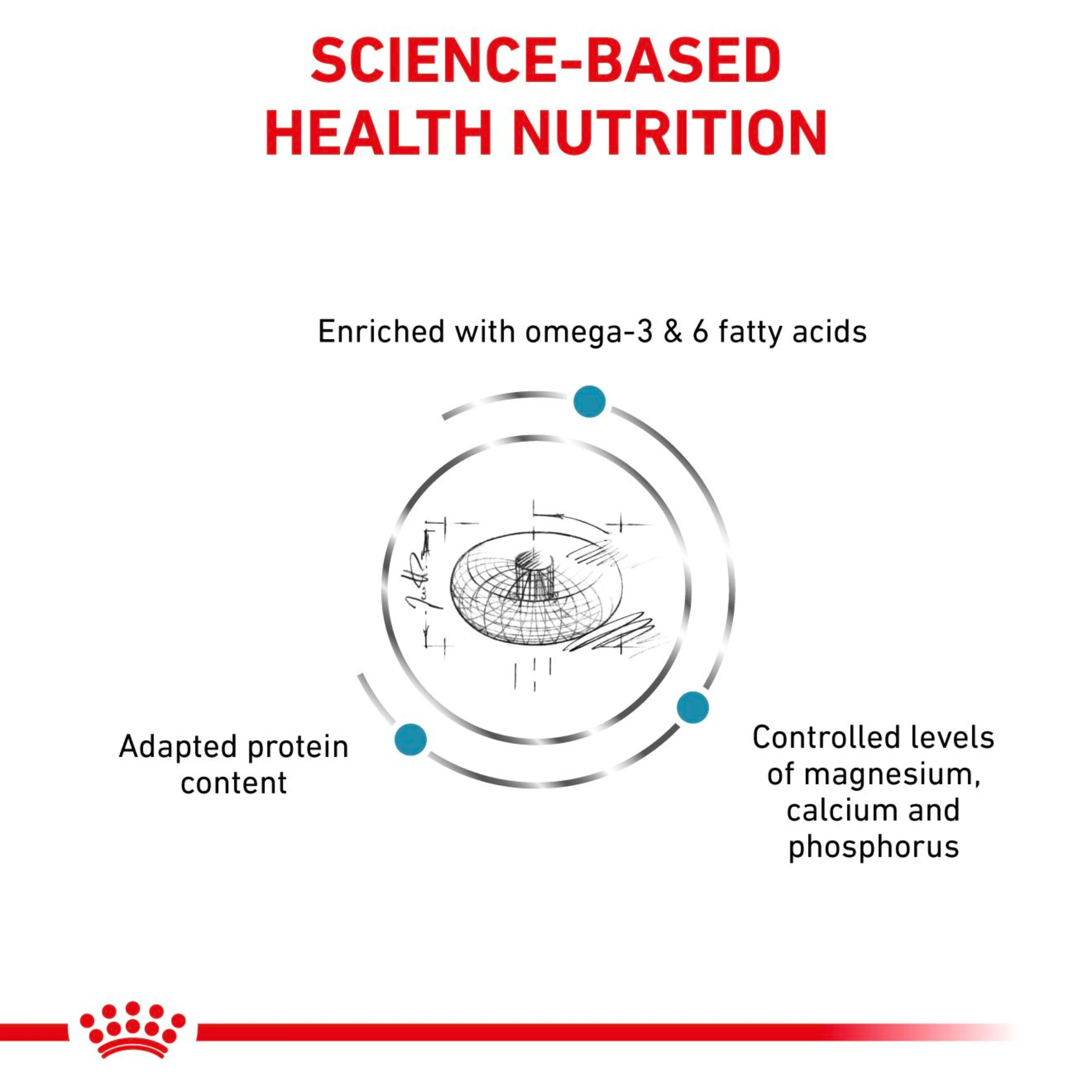 ROYAL CANIN Feline Skin & Coat Adult Dry Cat Food - Image 3