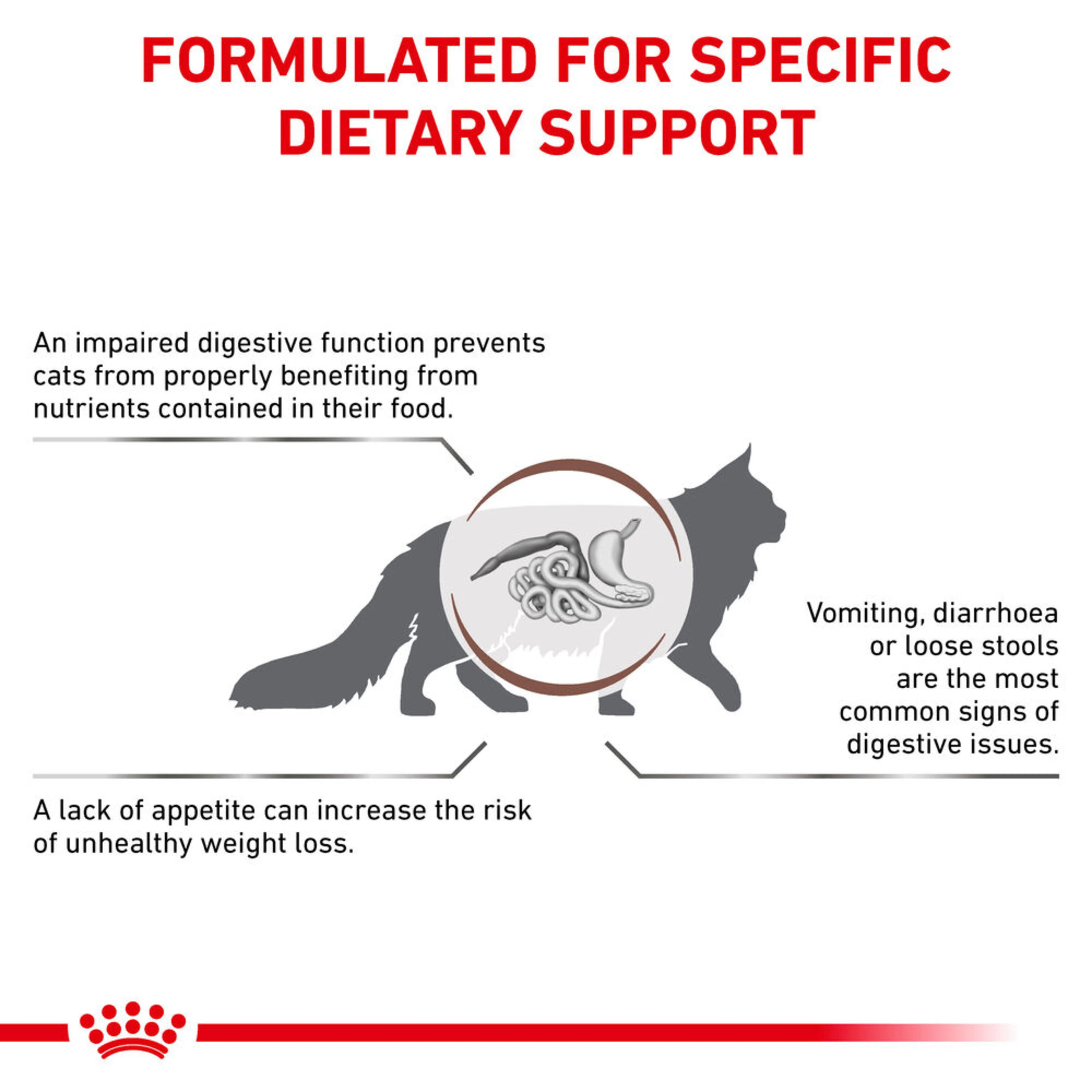 ROYAL CANIN Gastrointestinal Adult Dry Cat Food - Image 3