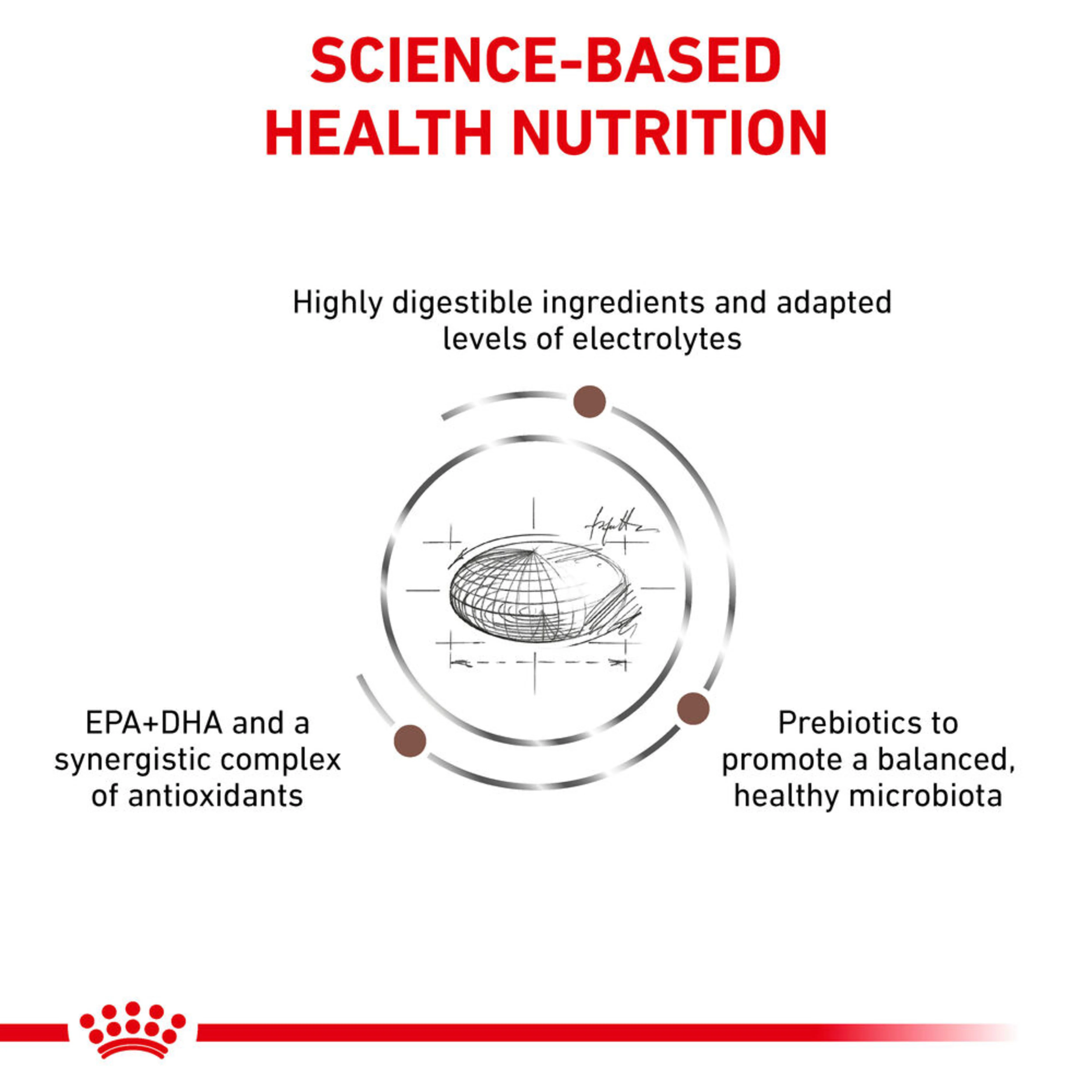 ROYAL CANIN Gastrointestinal Adult Dry Dog Food - Image 3