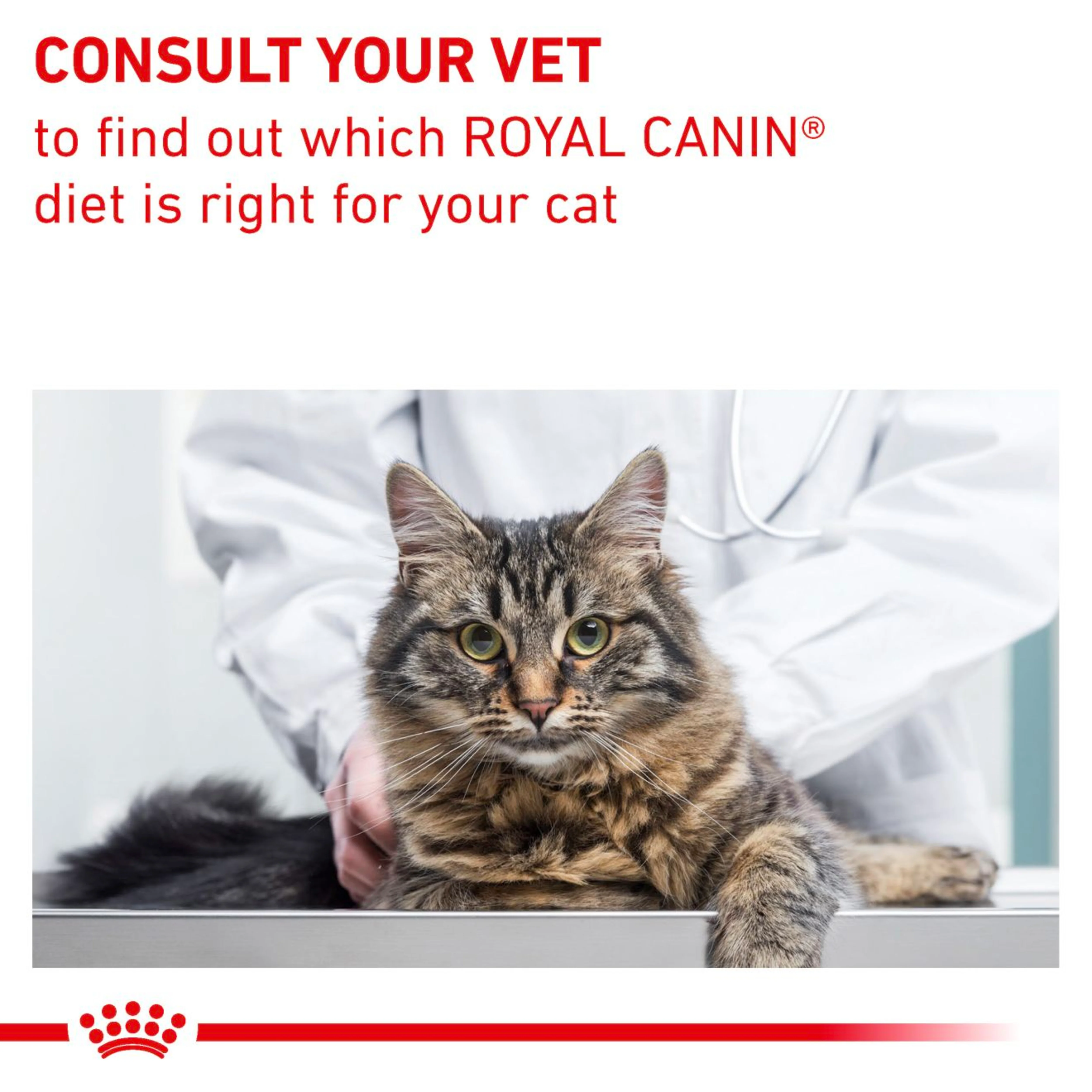 ROYAL CANIN Gastrointestinal Fibre Response Adult Dry Cat Food 4kg - Image 9
