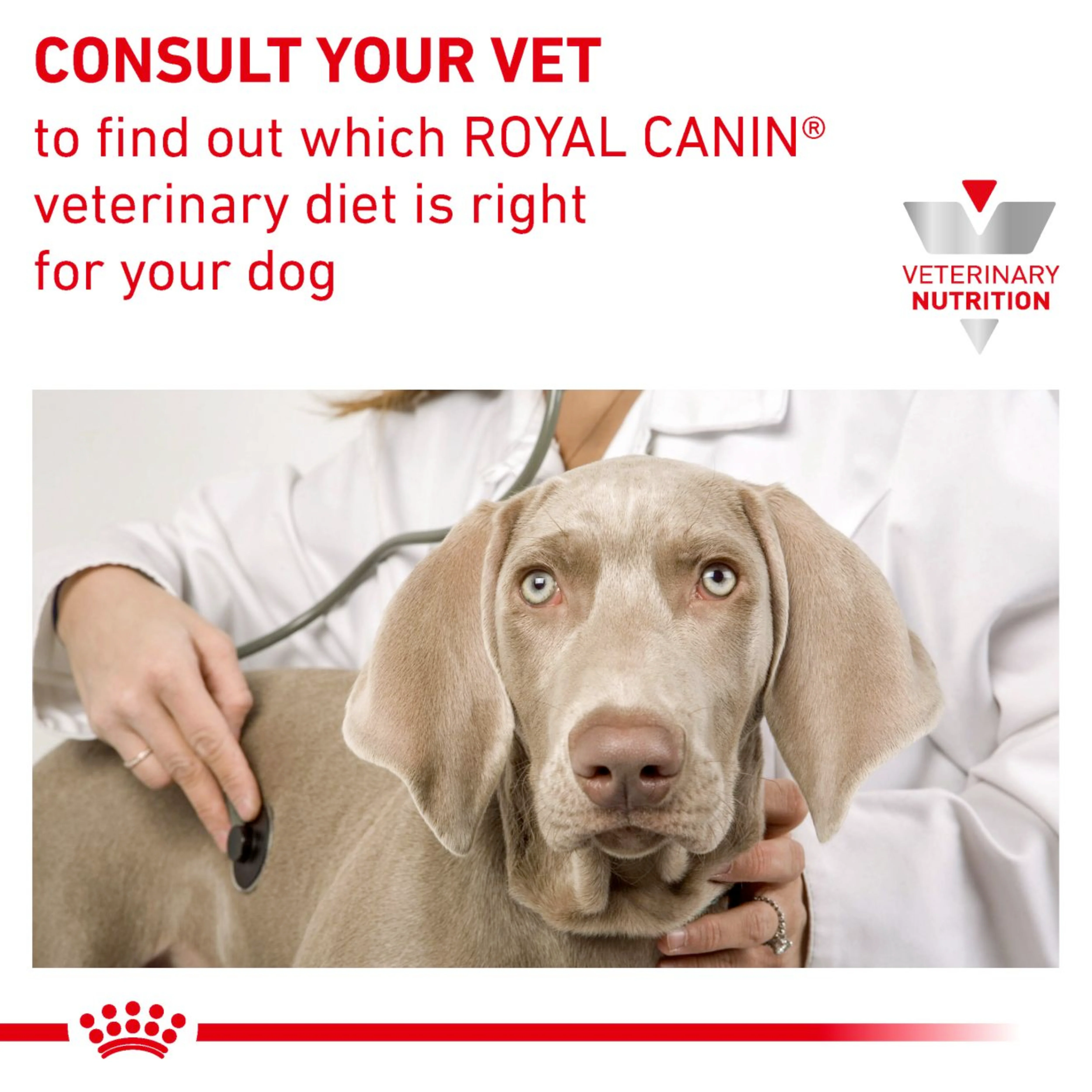 ROYAL CANIN Gastrointestinal High Fibre Adult Dry Dog Food - Image 7