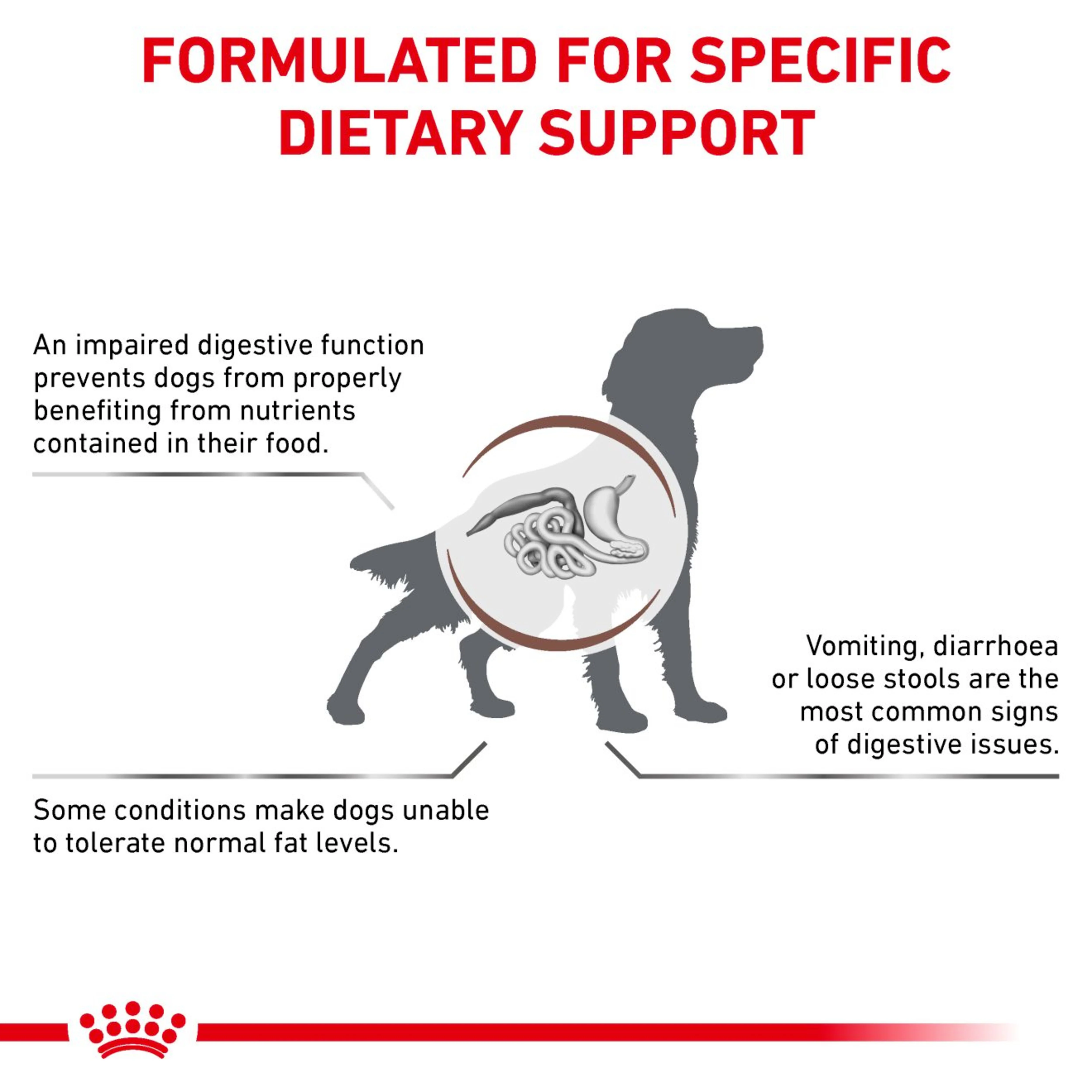 ROYAL CANIN Gastrointestinal Low Fat Adult Dry Dog Food - Image 3