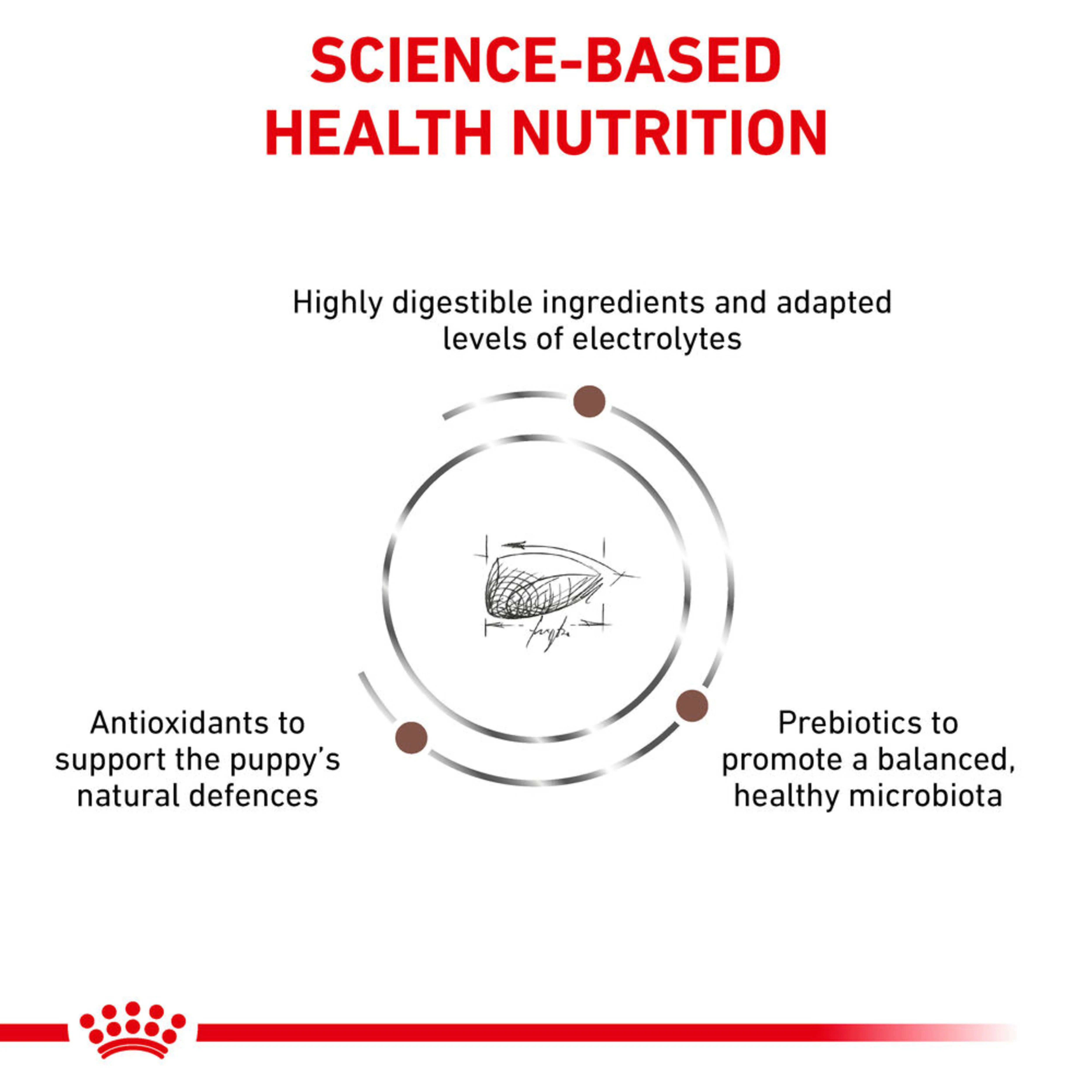 ROYAL CANIN Gastrointestinal Puppy Dry Dog Food - Image 2