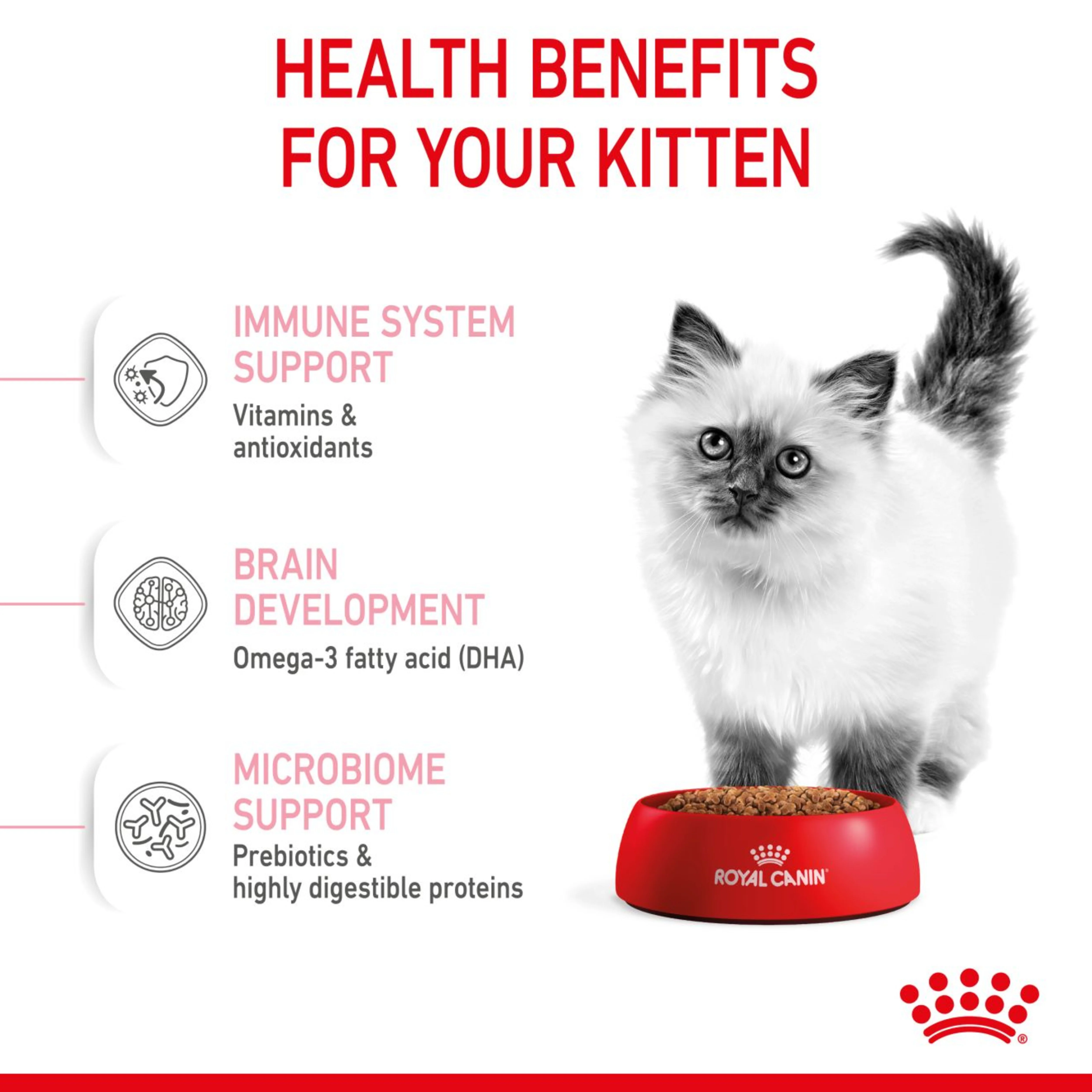 ROYAL CANIN  Kitten Dry Food 4kg - Image 3