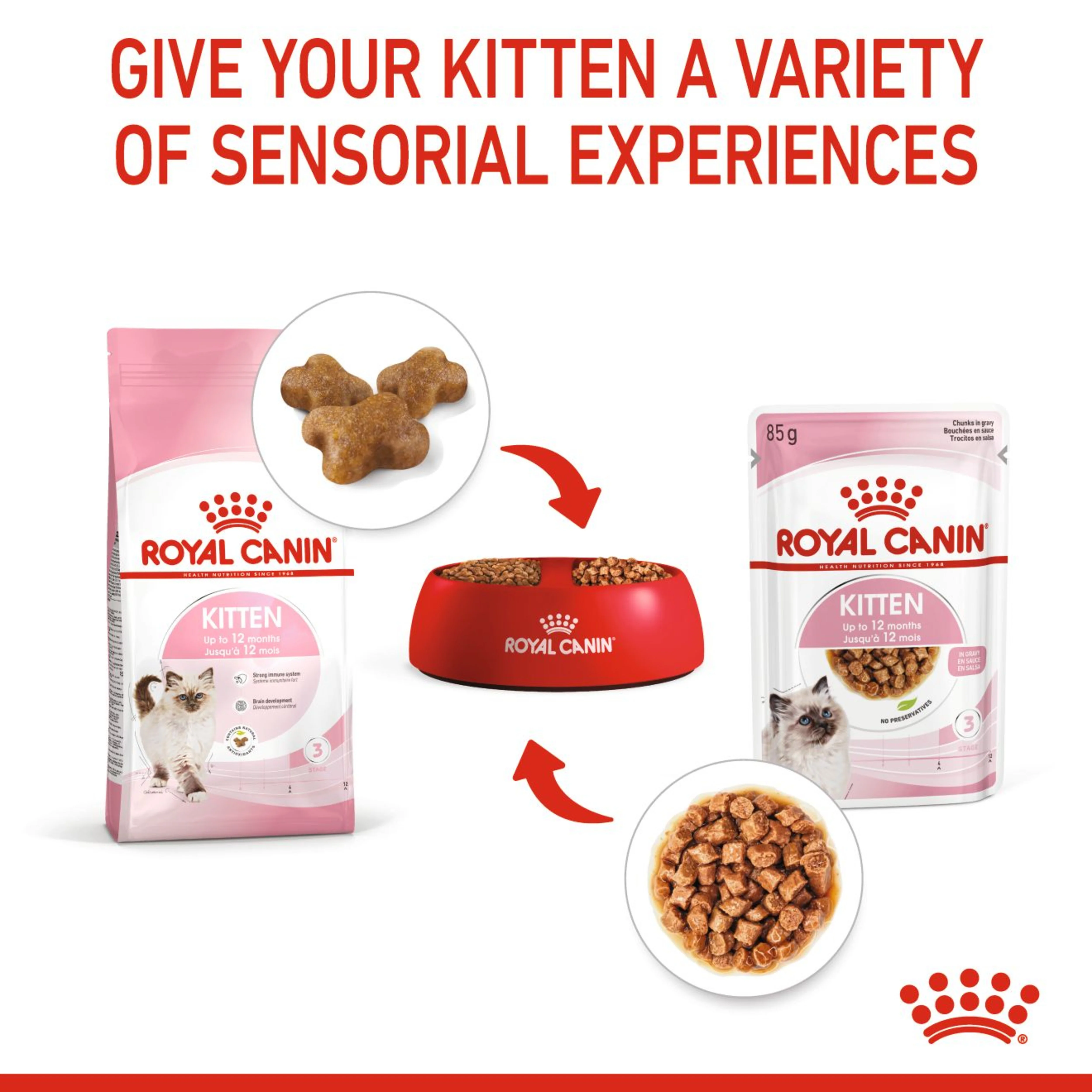 ROYAL CANIN  Kitten Dry Food 4kg - Image 4