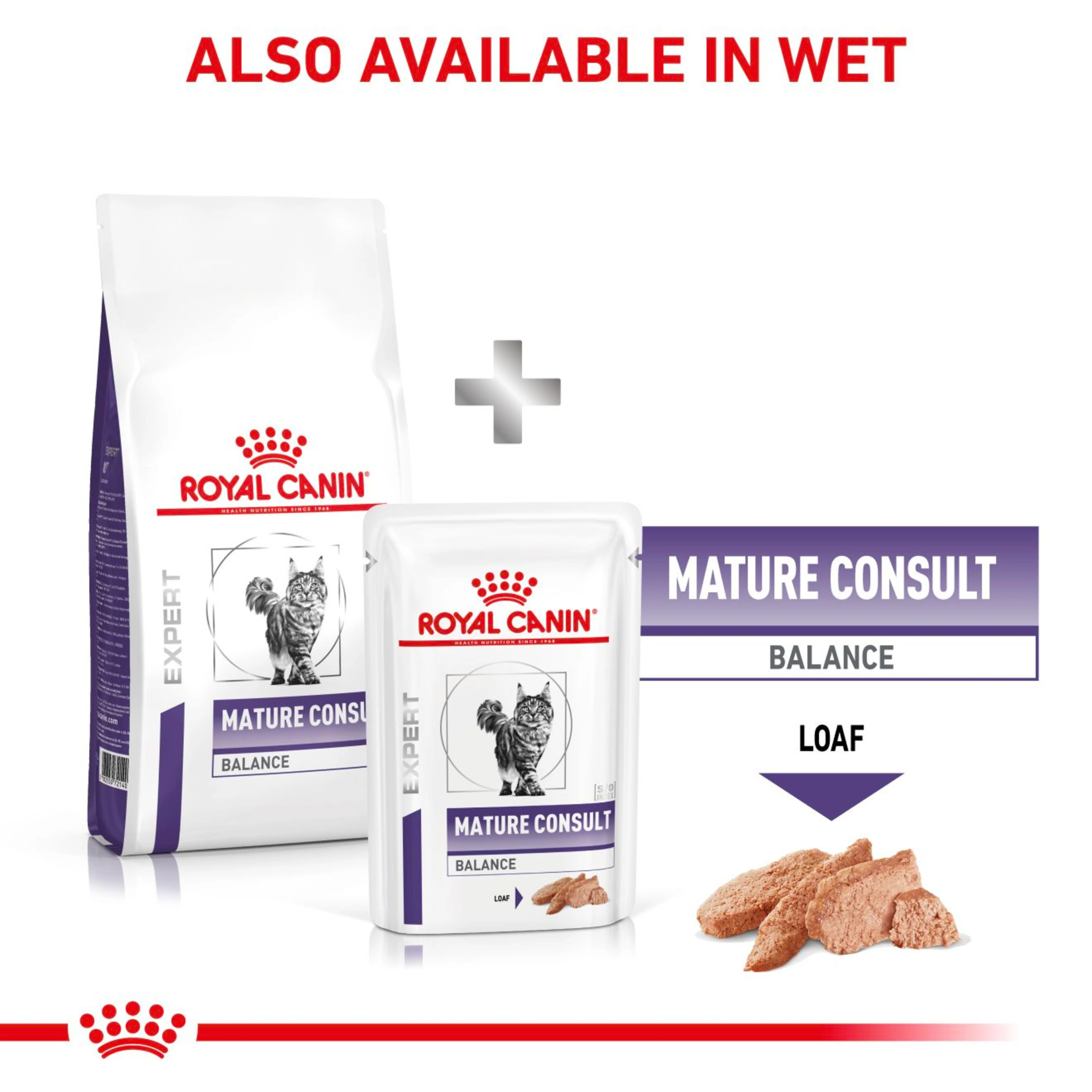 ROYAL CANIN Mature Consult Balance Dry Cat Food 3.5kg - Image 2