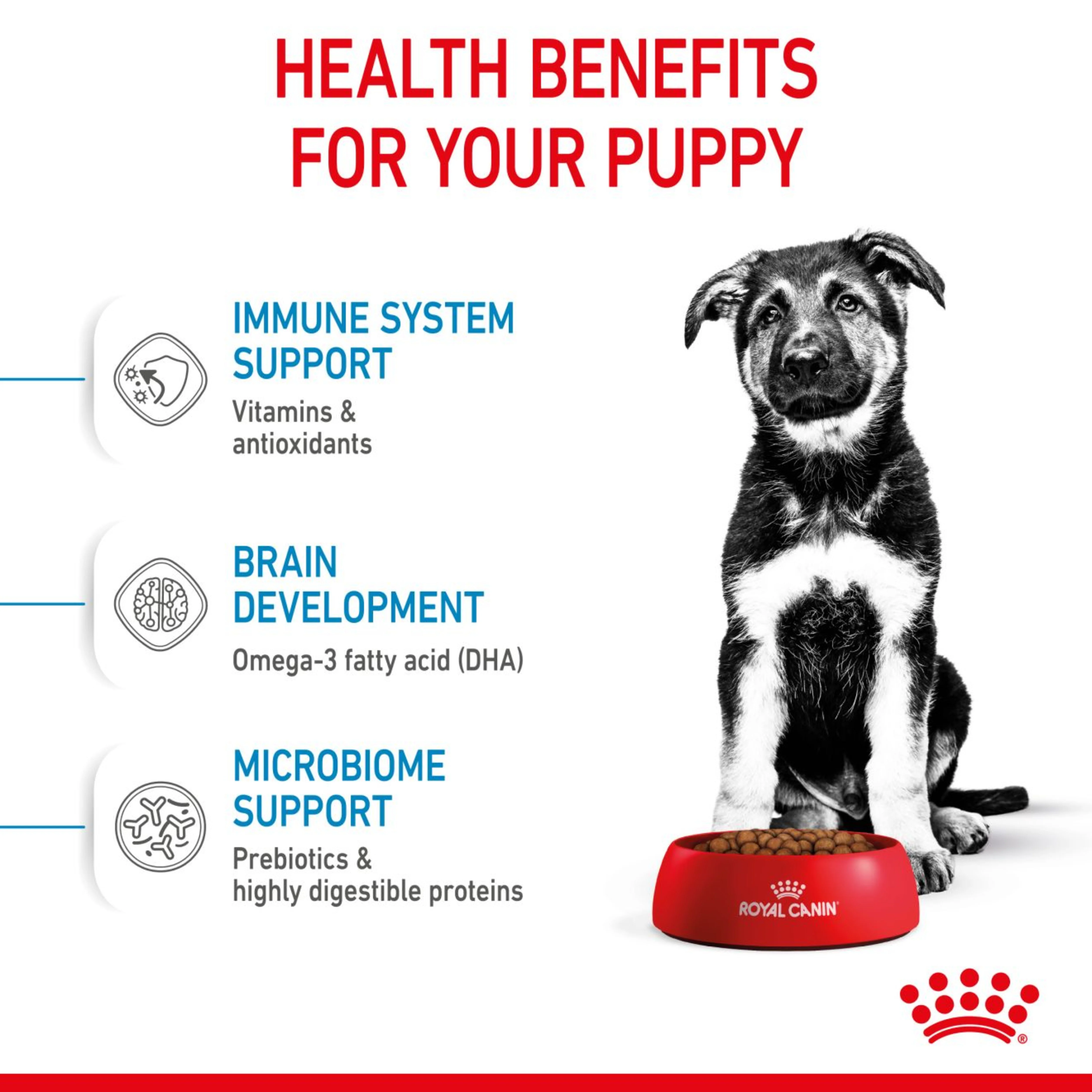 ROYAL CANIN MAXI Dry Puppy Food 3kg - Image 3