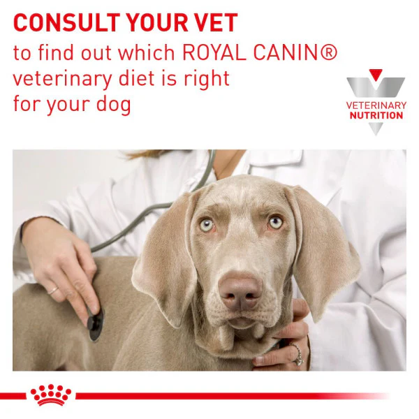 ROYAL CANIN Mobility Support Adult Dry Dog Food 12kg - Image 3