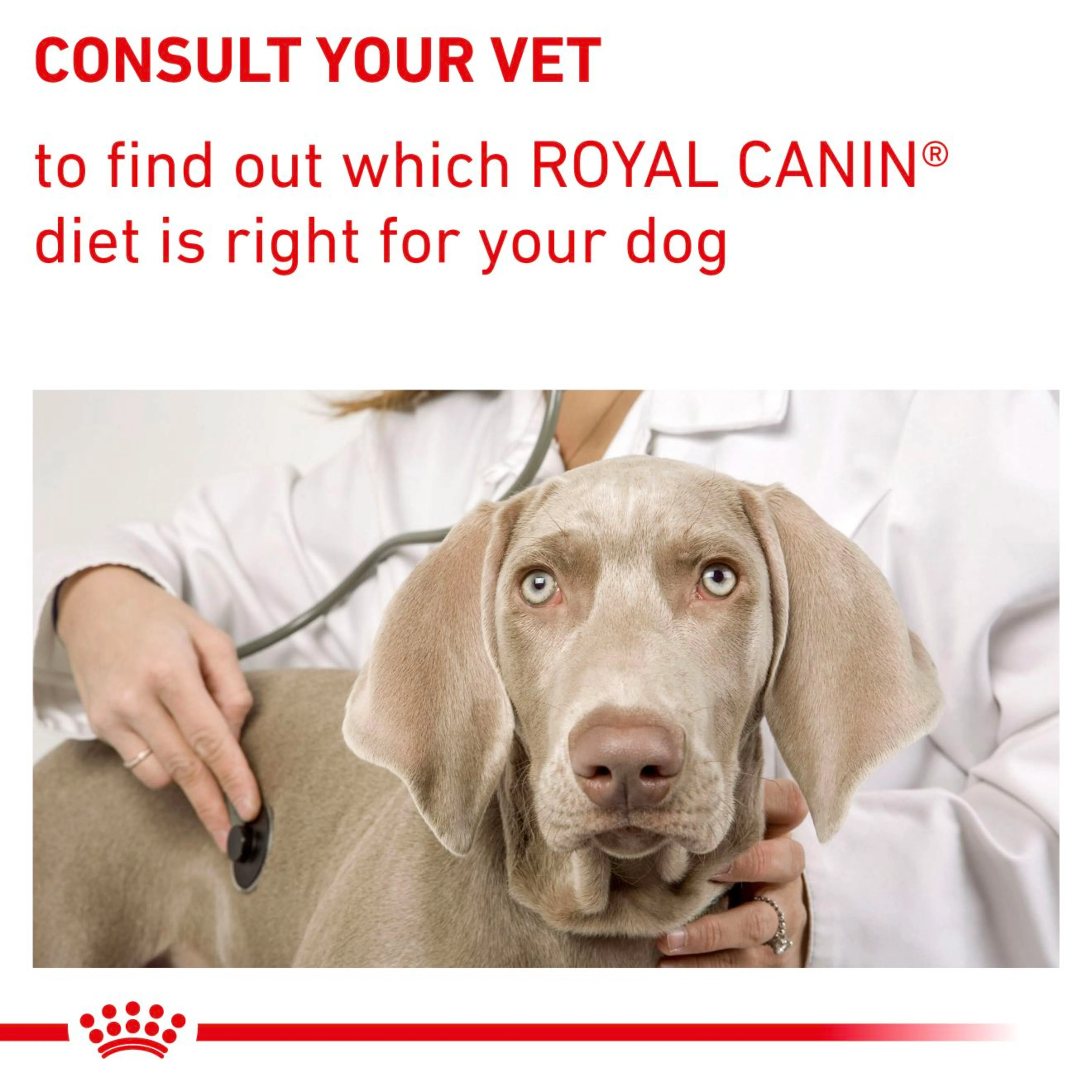 ROYAL CANIN Neutered Adult Medium Dry Dog Food 9kg - Image 5
