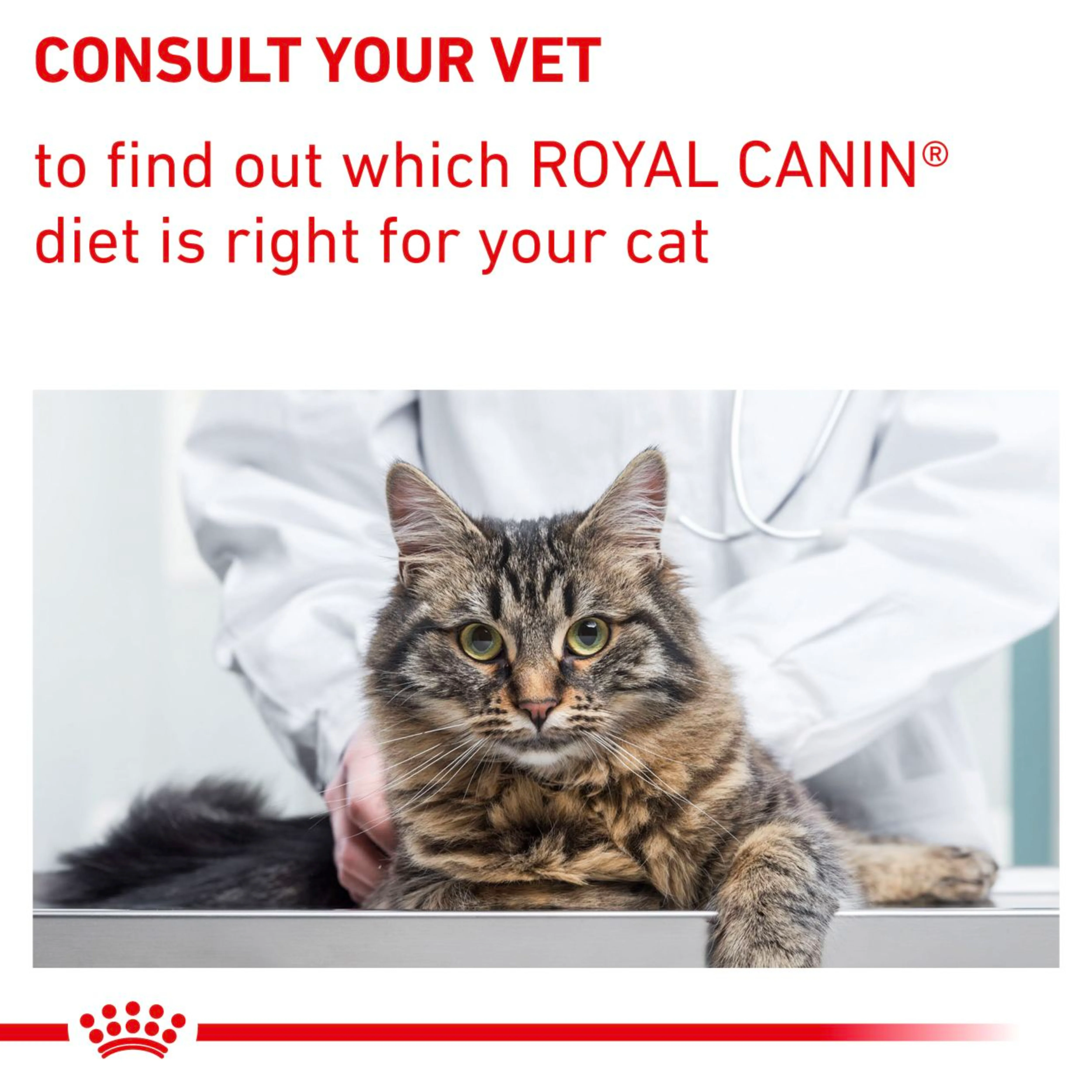 ROYAL CANIN Neutered Satiety Balance Adult Dry Cat Food 1.5kg - Image 3