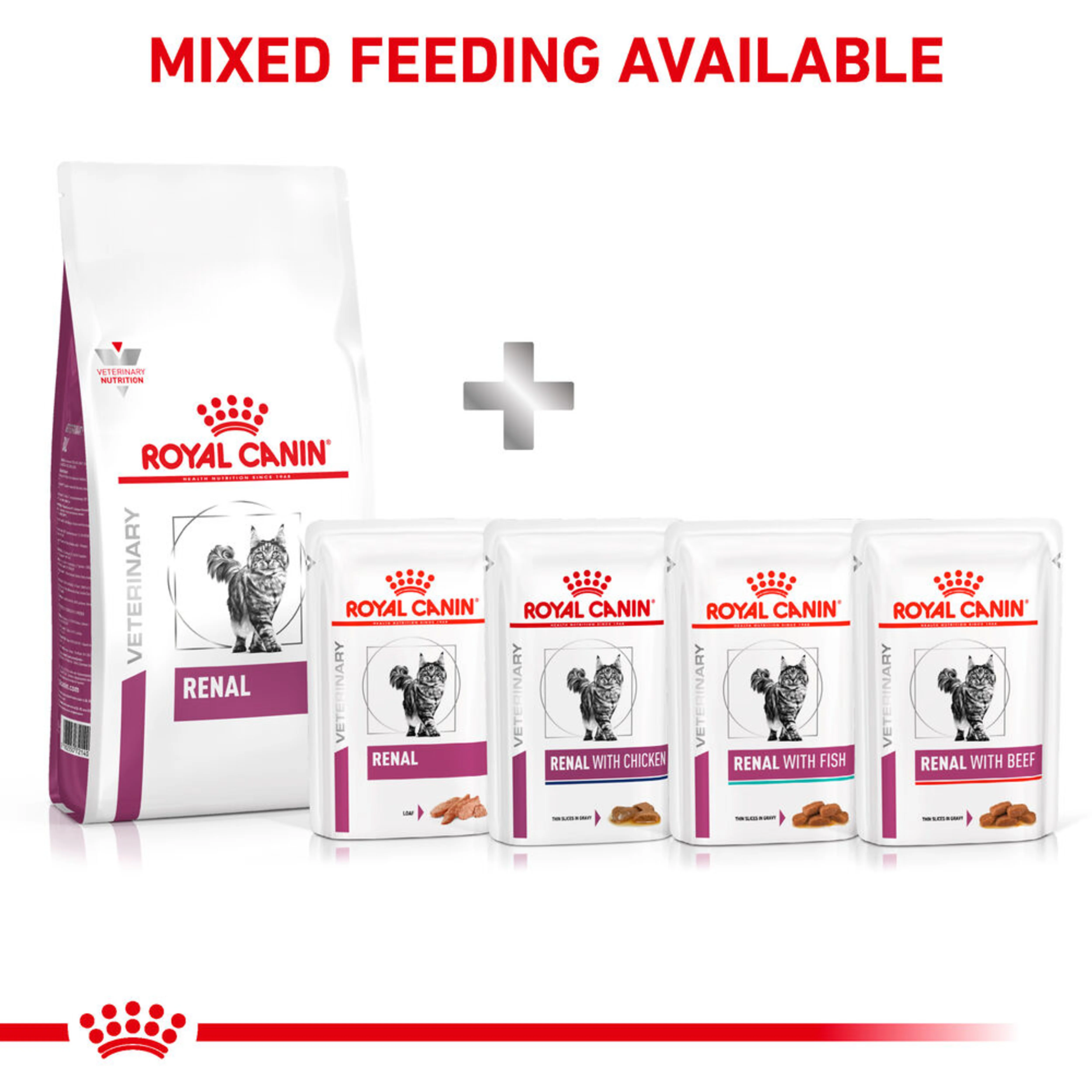 ROYAL CANIN Renal Adult Dry Cat Food - Image 2