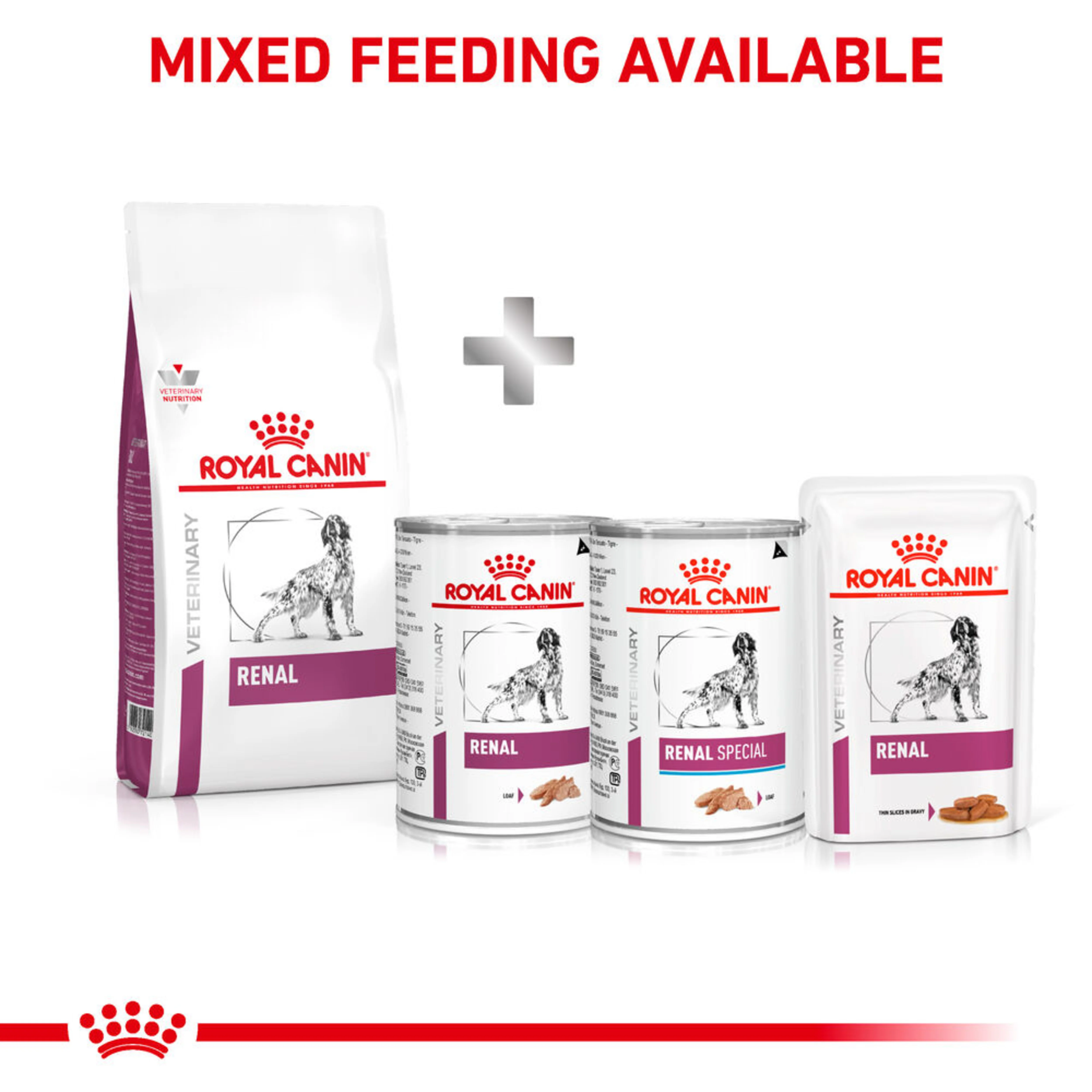 ROYAL CANIN Renal Adult Dry Dog Food - Image 2