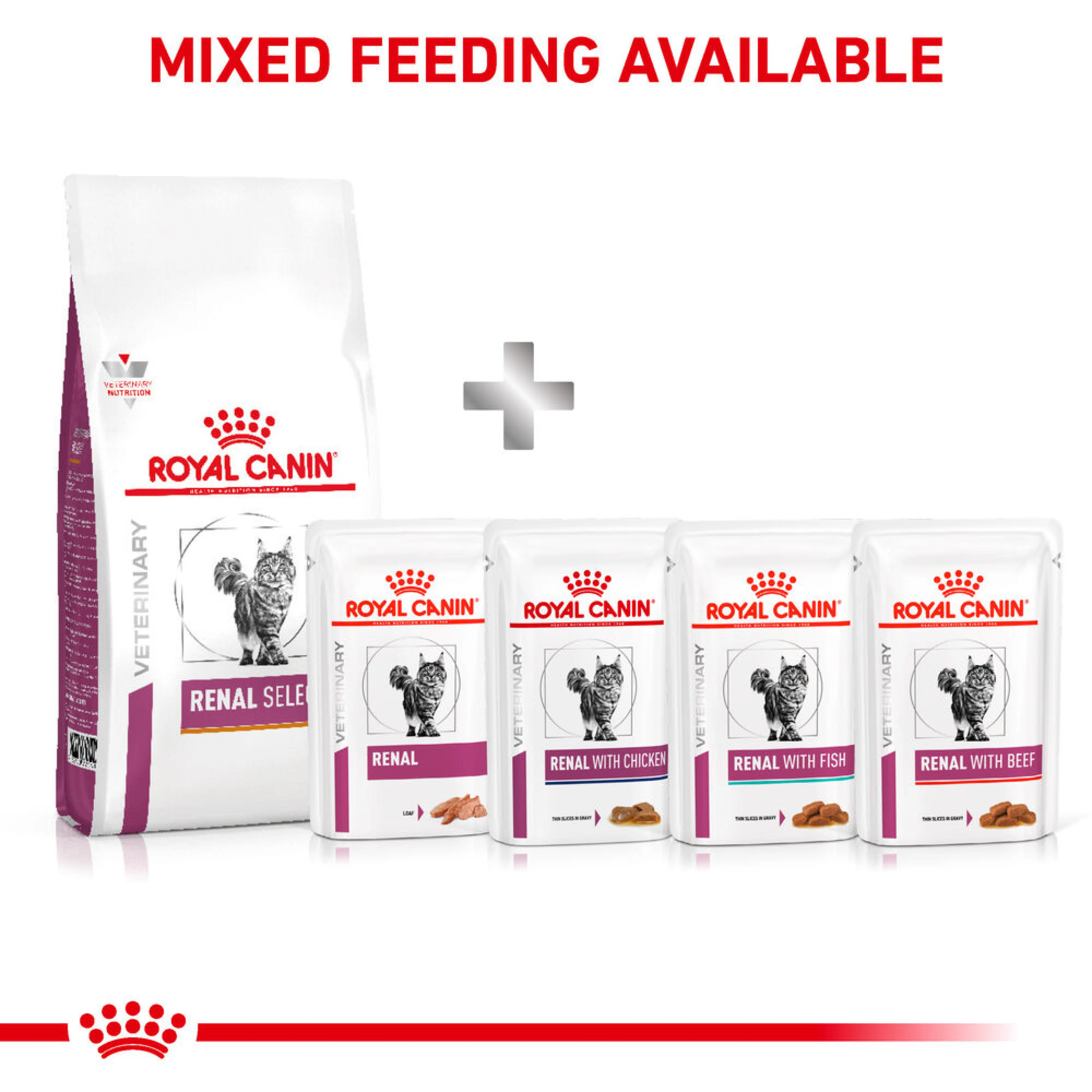 ROYAL CANIN Renal Select Adult Dry Cat Food - Image 2