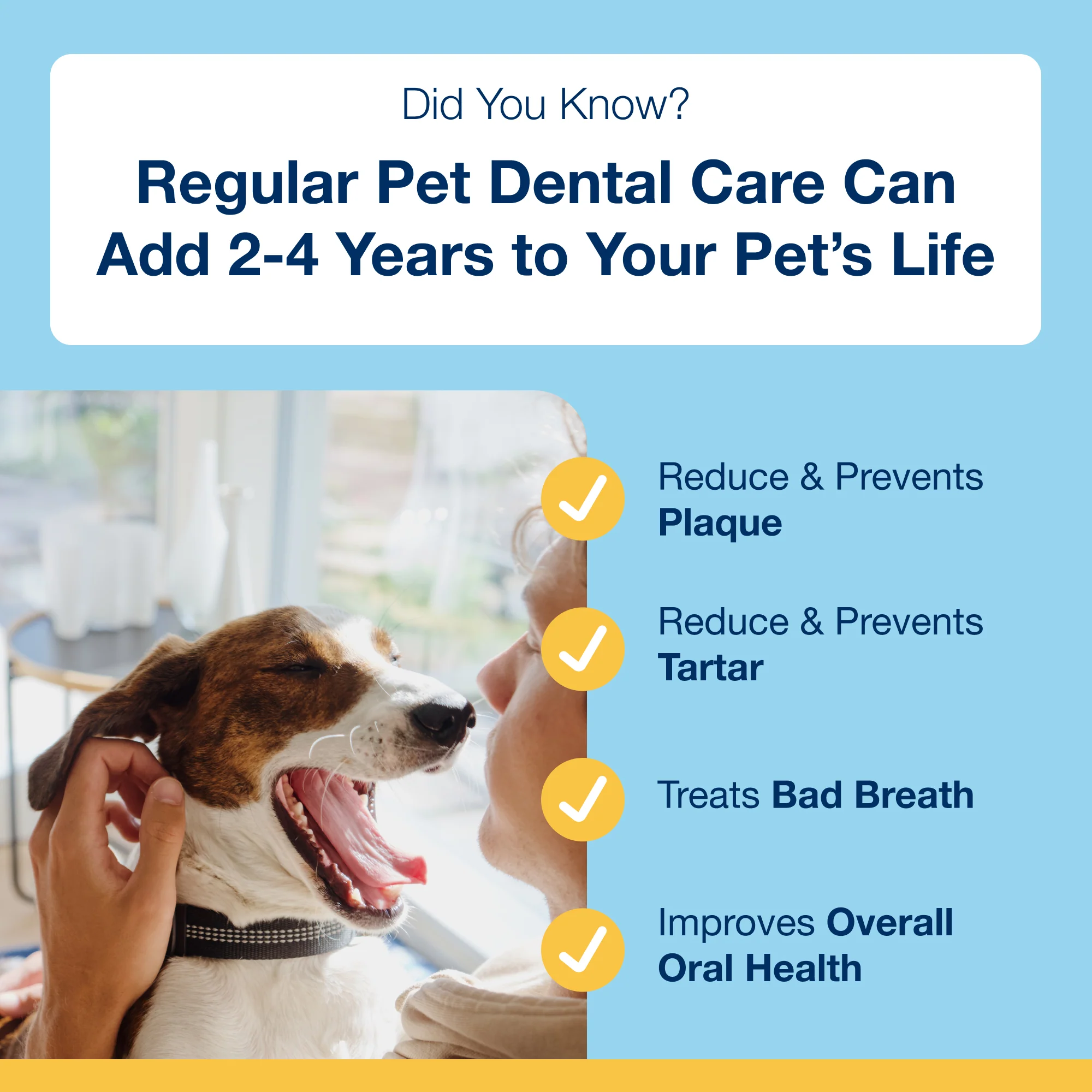 Plaque Off Mini Dental Care Bones Peanut Butter & Banana - Image 8