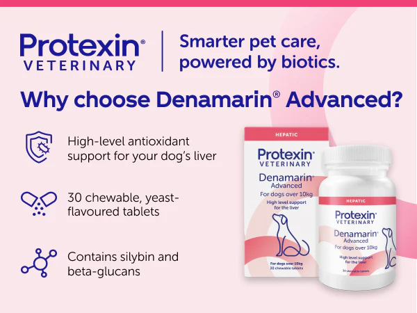 Protexin Denamarin Advanced For Dogs Over 10kg (30 tablets) - Image 5