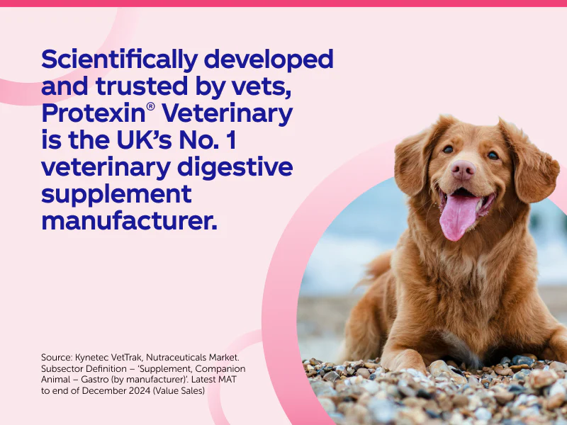 Protexin Denamarin Advanced For Dogs Over 10kg (30 tablets) - Image 6