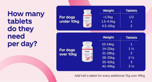 Protexin Denamarin Advanced For Dogs Over 10kg (30 tablets) - Image 7