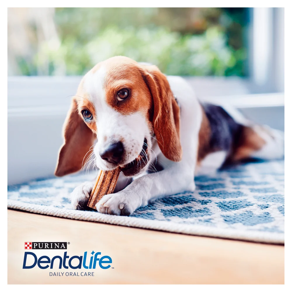 Dentalife Dog Treat Dental Chew - Image 5