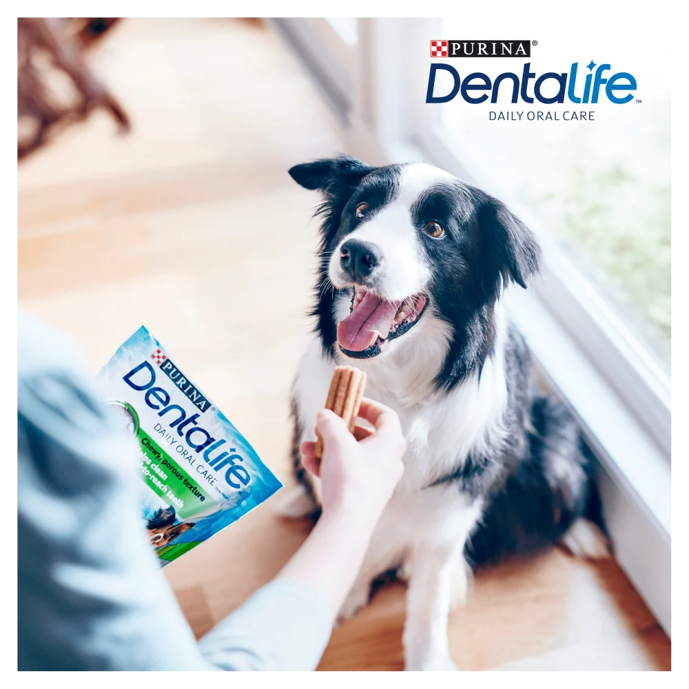 Dentalife Dog Treat Dental Chew - Image 6