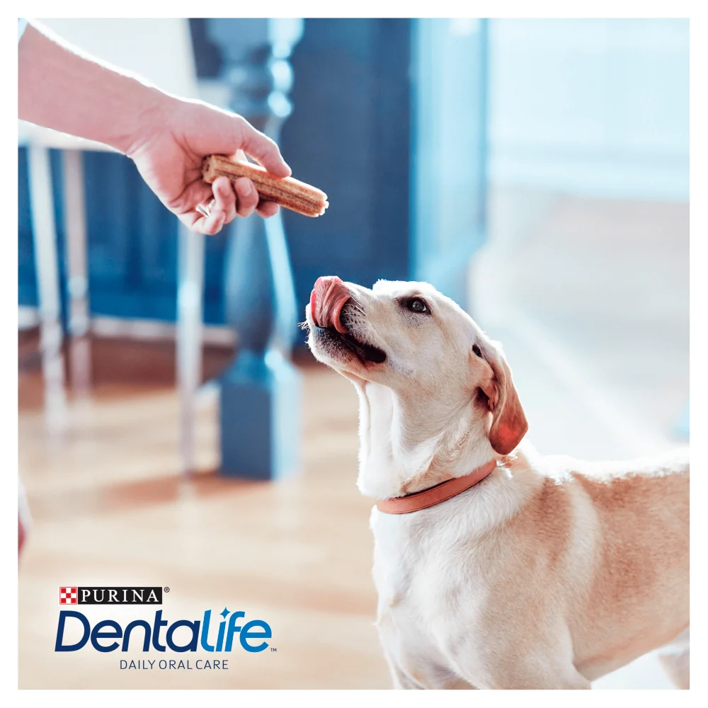 Dentalife Dog Treat Dental Chew - Image 7