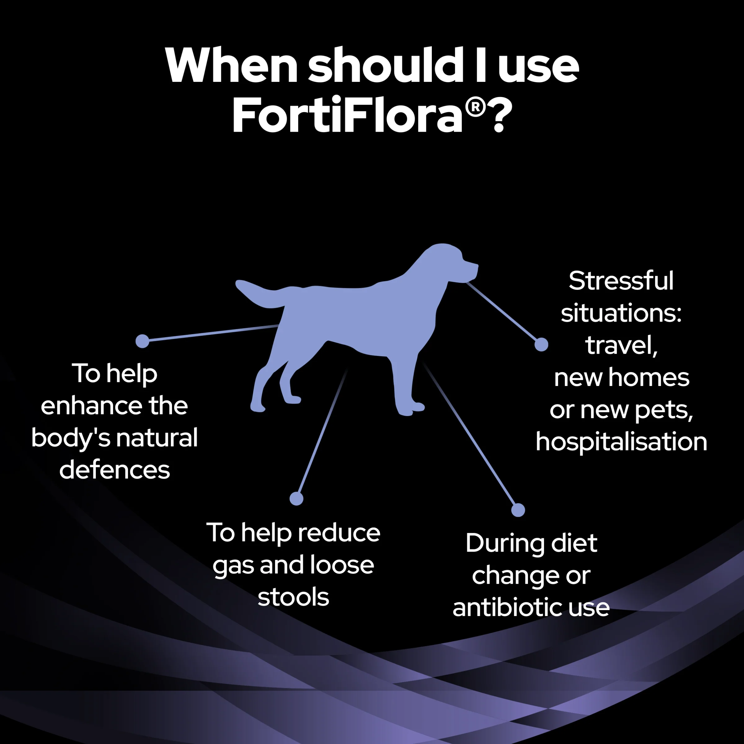 Purina EN Gastrointestinal Bundle with Fortiflora - Image 13