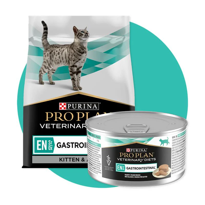 Cat Food
