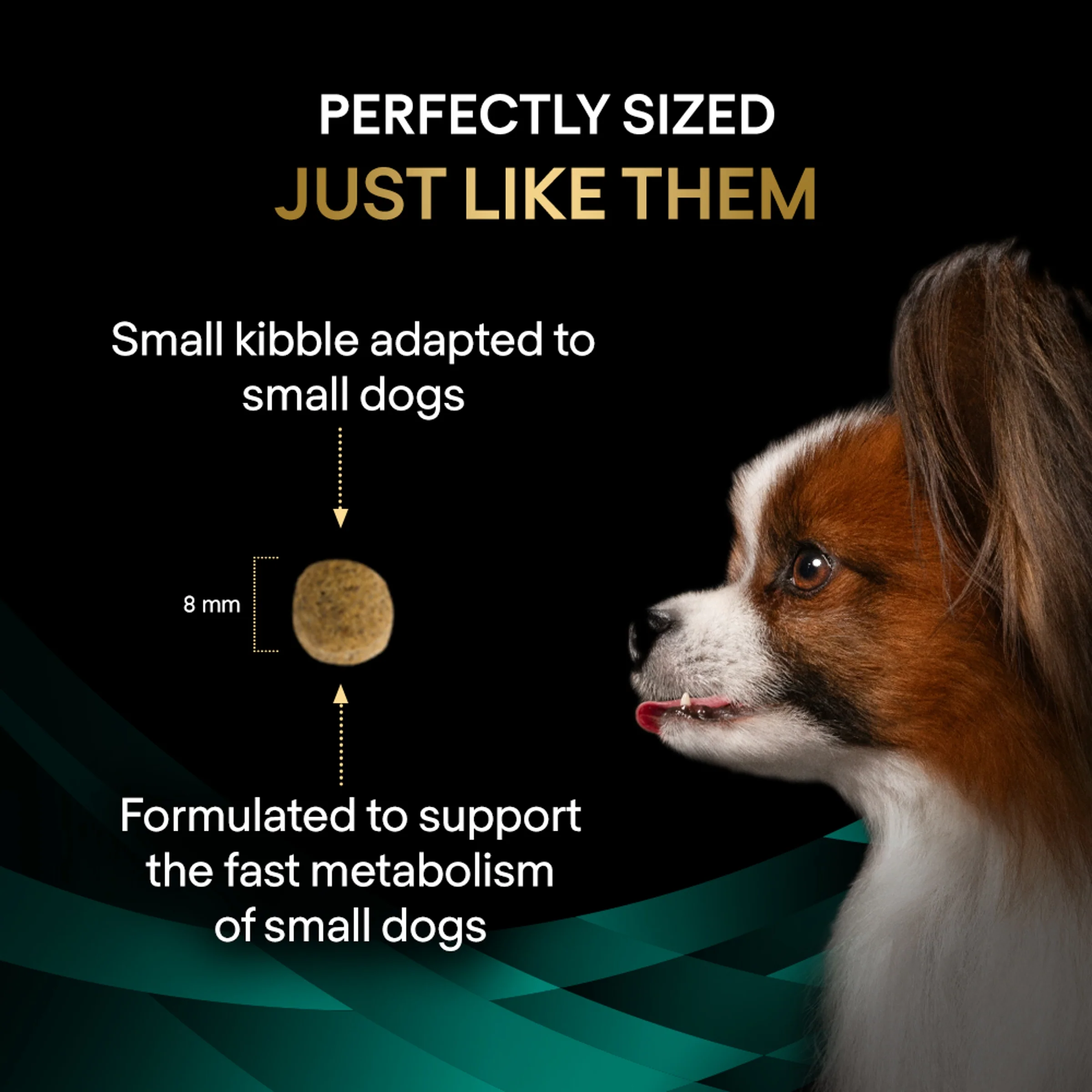 Purina EN Gastrointestinal Small Dog Bundle - Image 3