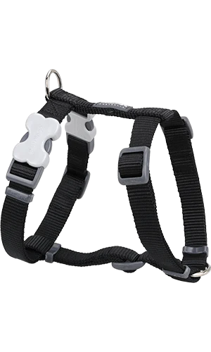 Red Dingo Classic Black Dog Harness